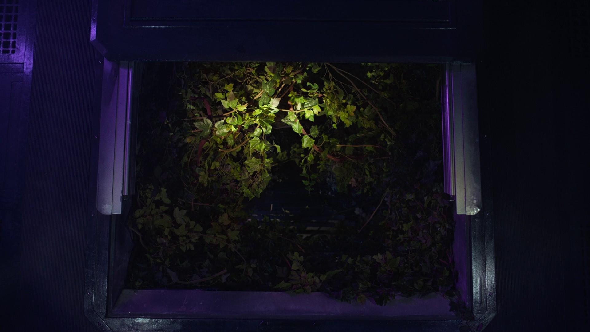 Secret Storage (2021) —  shot,  lighting