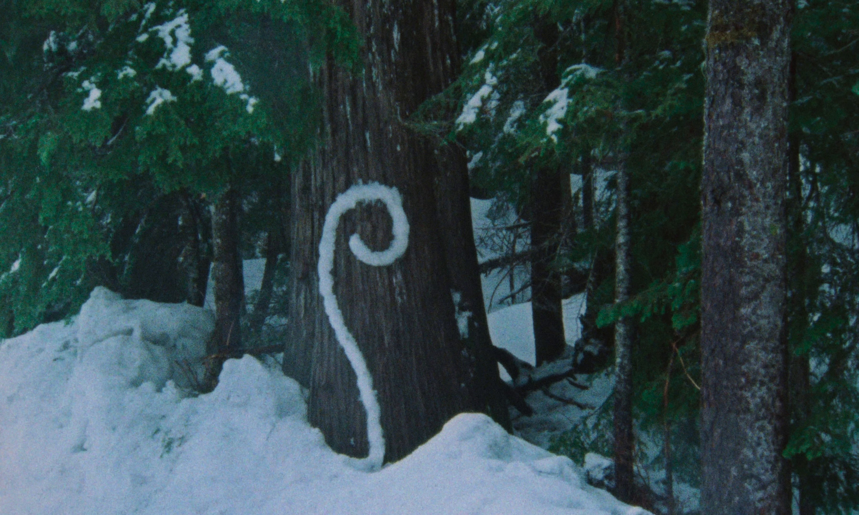 Objection! (2025) —  shot,  lighting