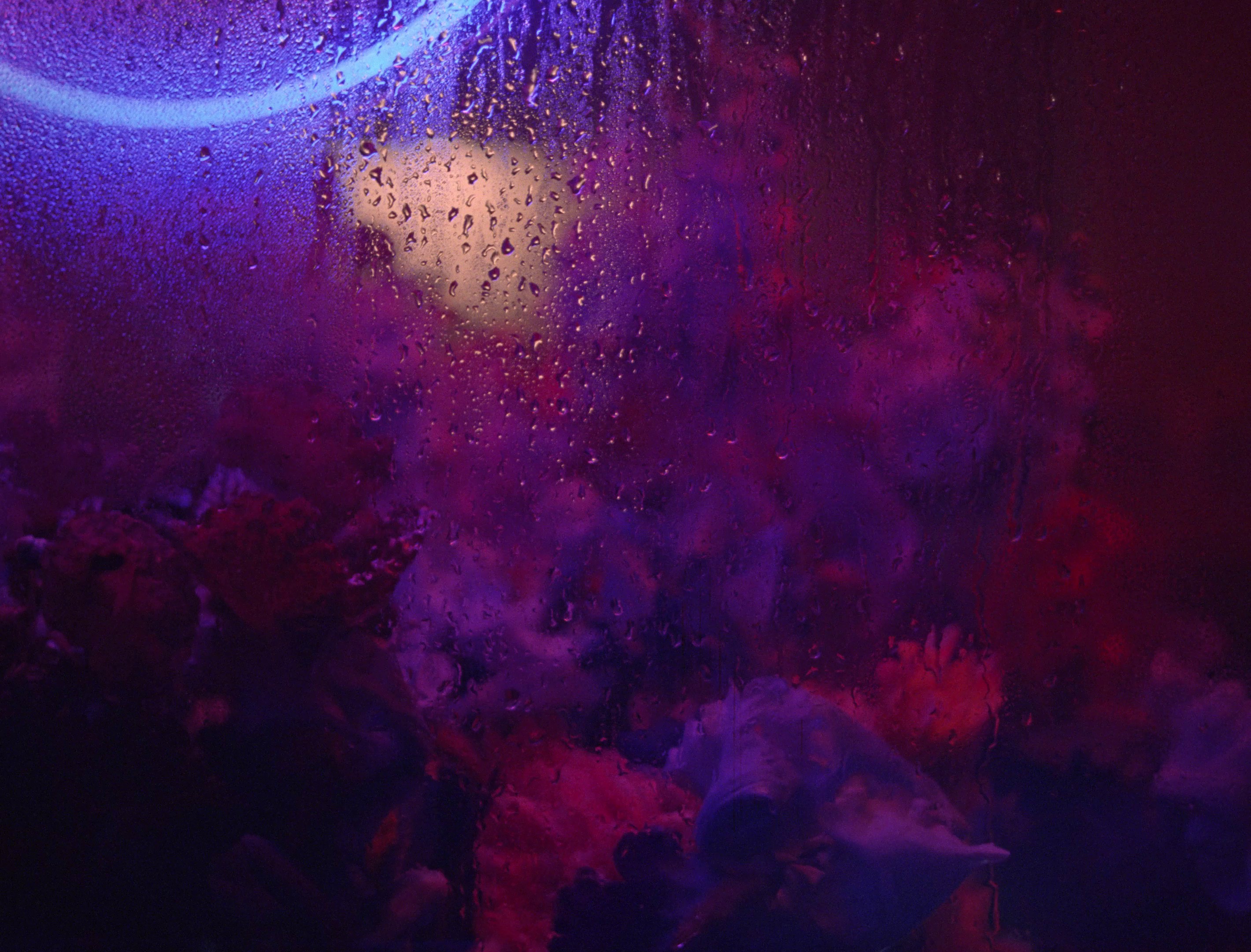 Pleasing Fragrances (2023) —  shot,  lighting