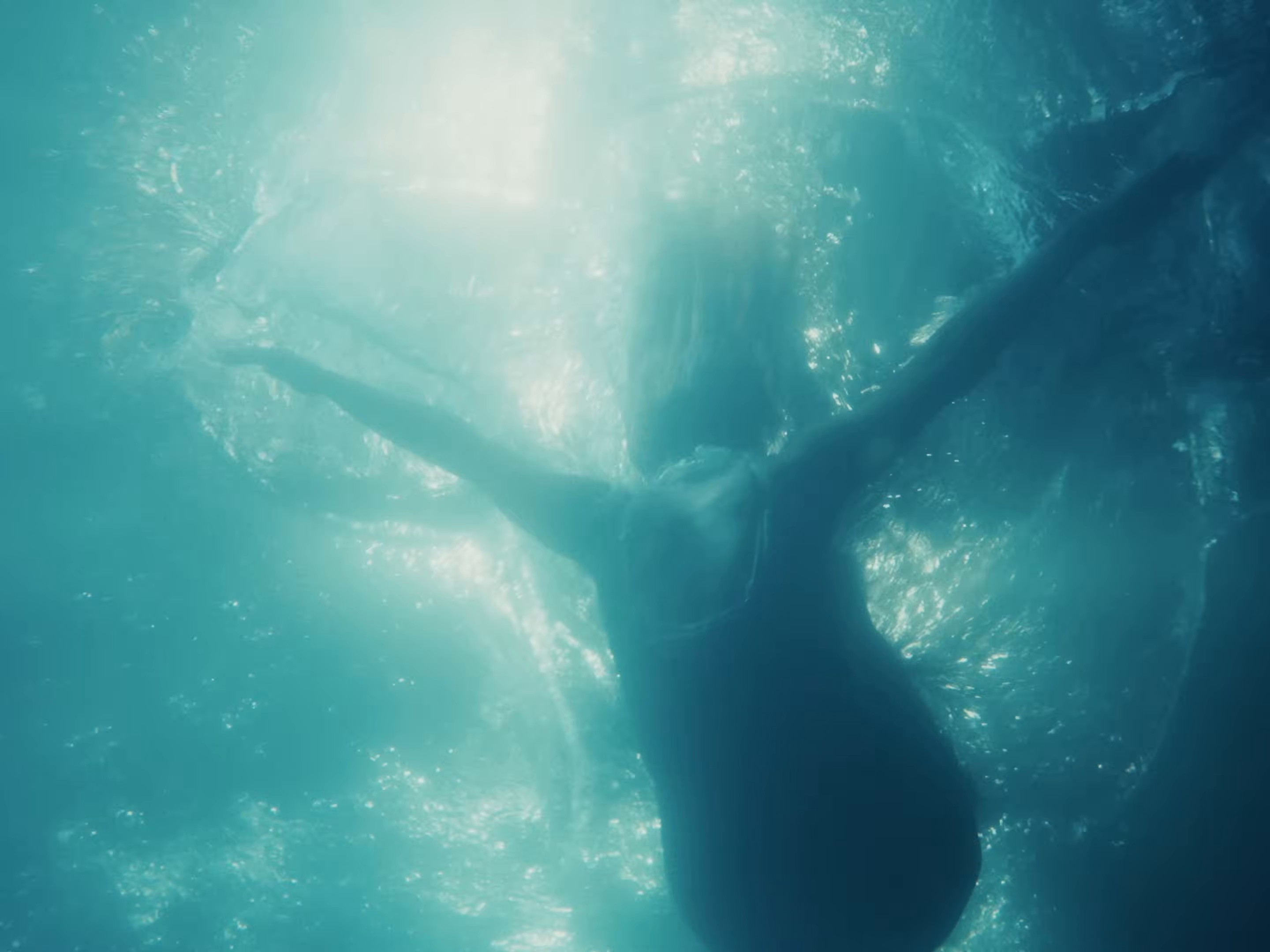 Chronic (2026) —  shot,  lighting