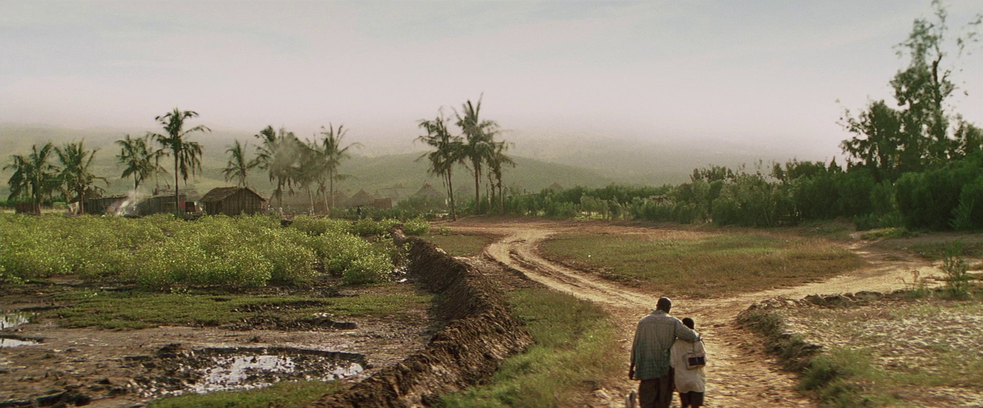 Blood Diamond (2006) —  shot,  lighting