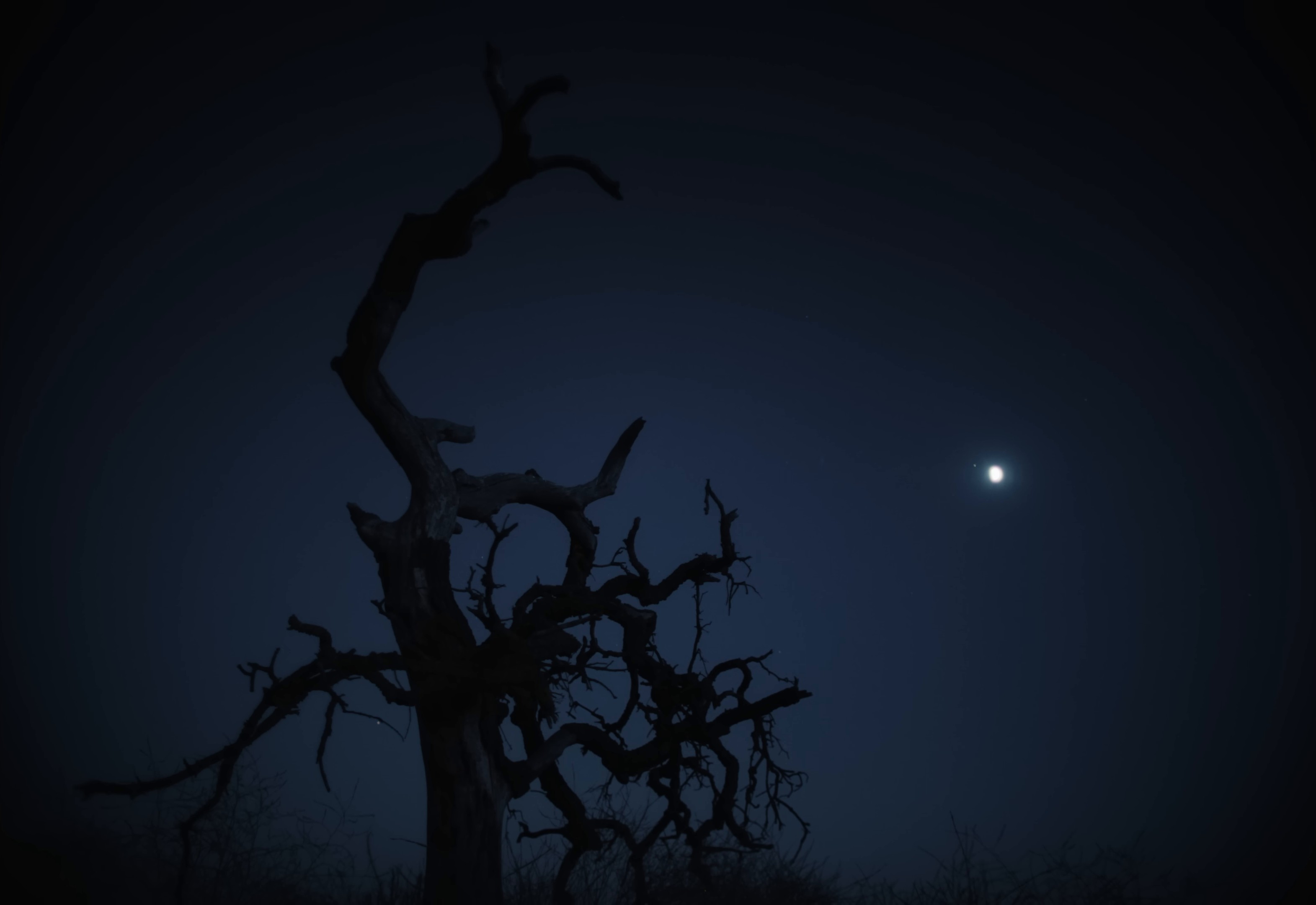 Chrome (2024) —  shot,  lighting