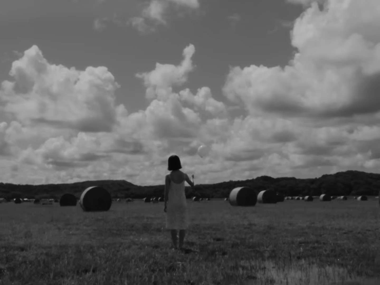 Sunlight (2025) —  shot,  lighting