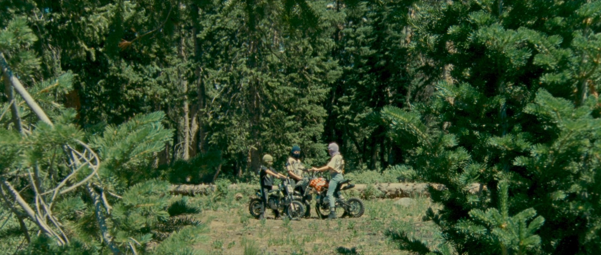 Riddle of Fire (2024) —  shot,  lighting