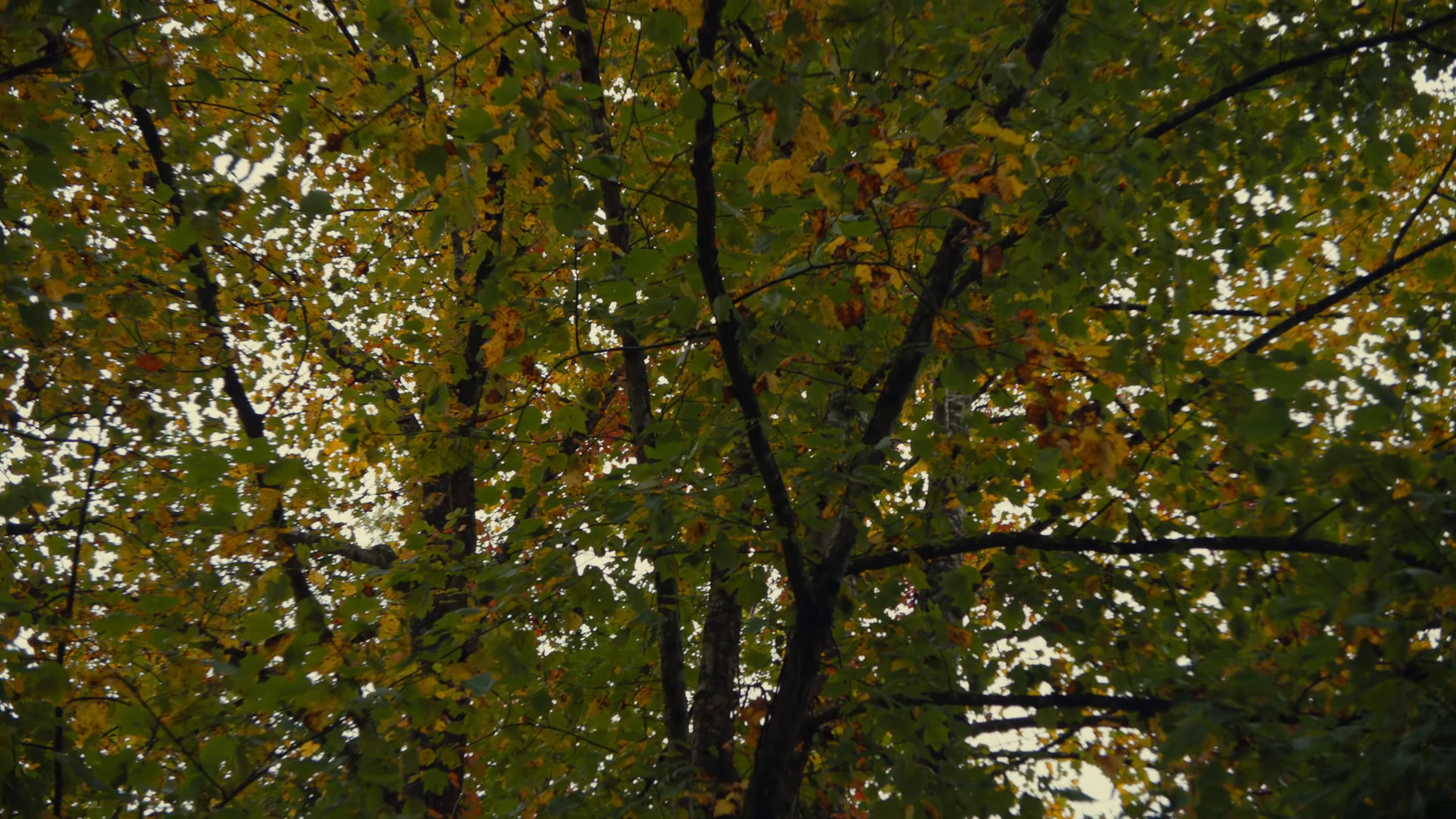 Tyler Herro (2020) —  shot,  lighting