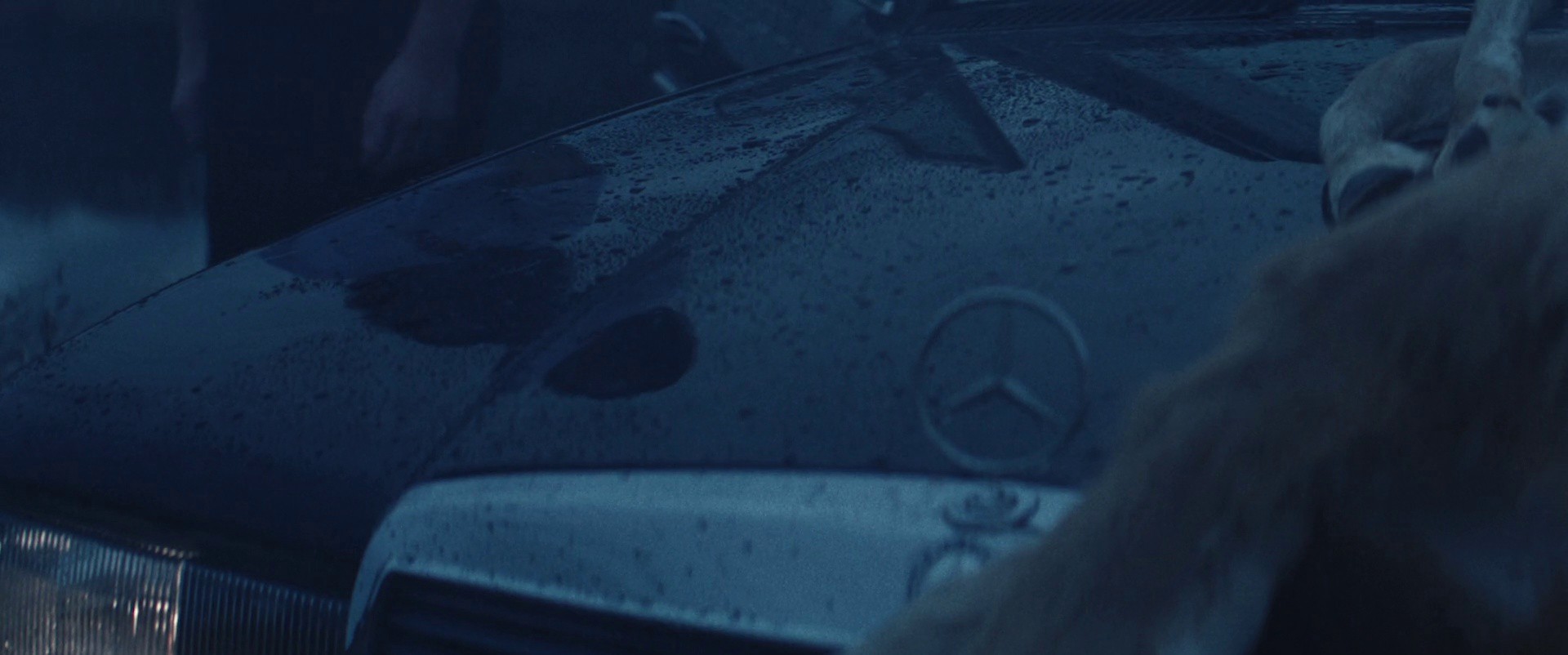 Terra (2018) —  shot,  lighting