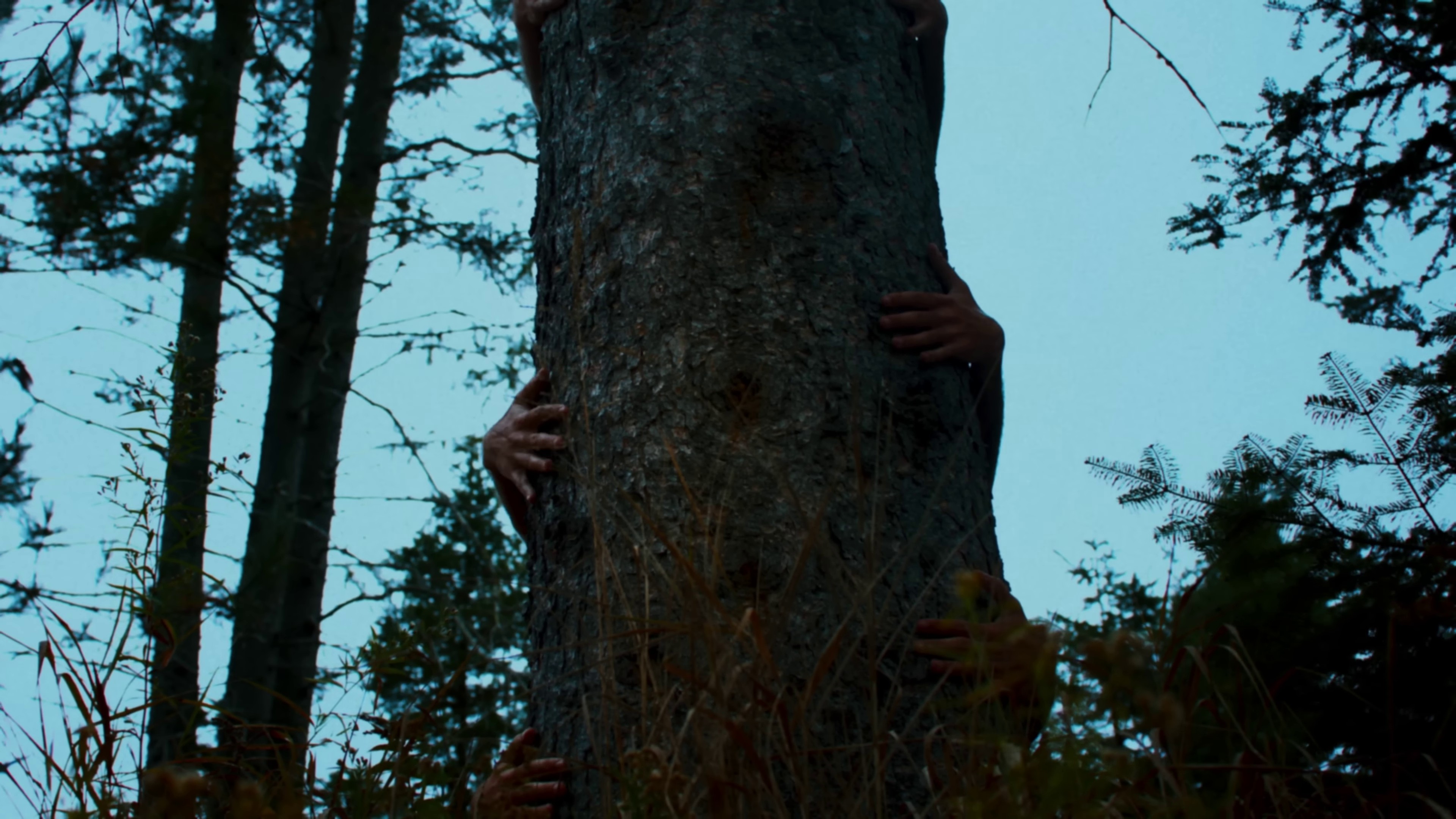 Jeune Vador (2023) —  shot,  lighting