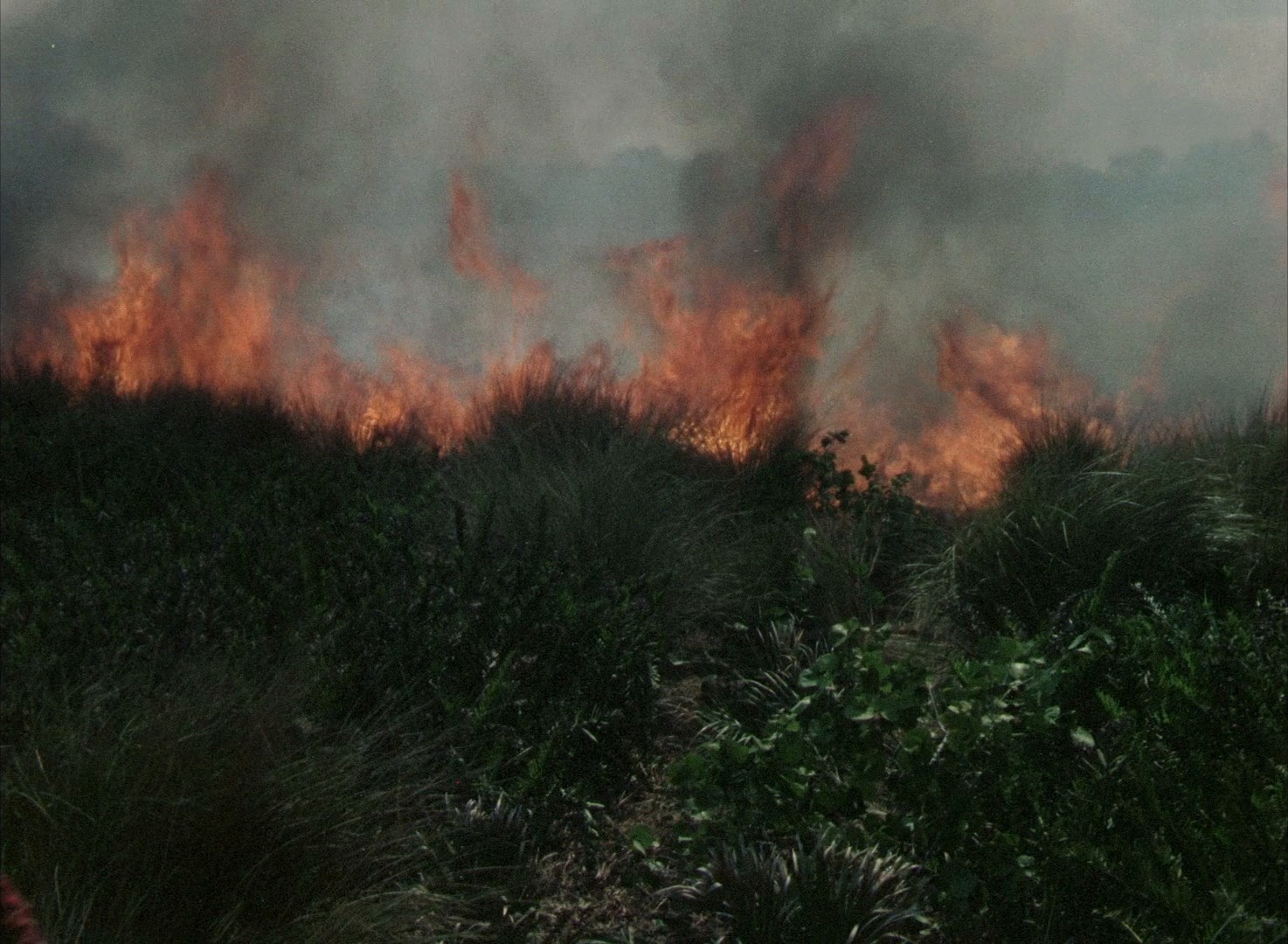 Distant Drums (1951) —  shot,  lighting
