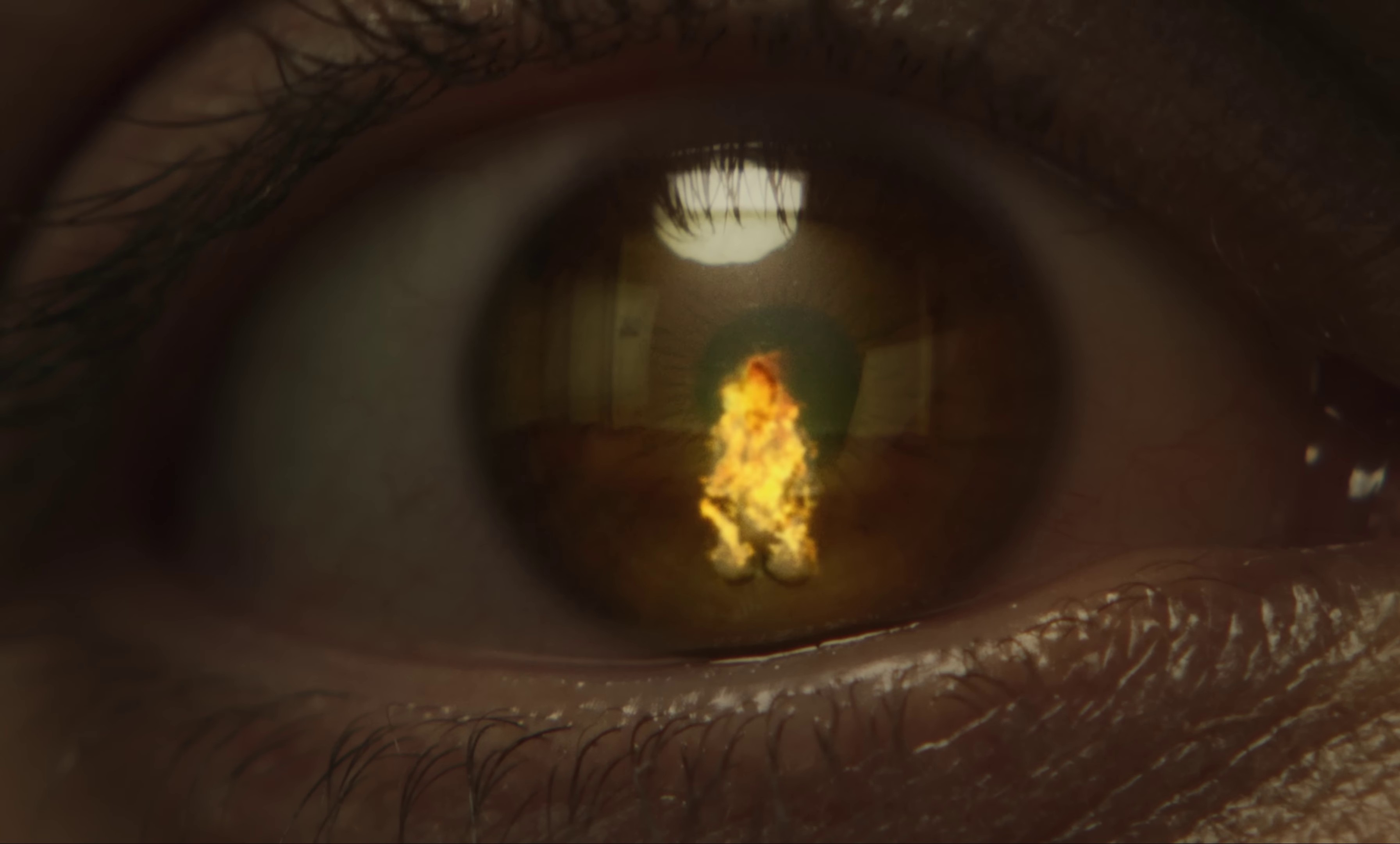 Les ombres (2022) —  shot,  lighting