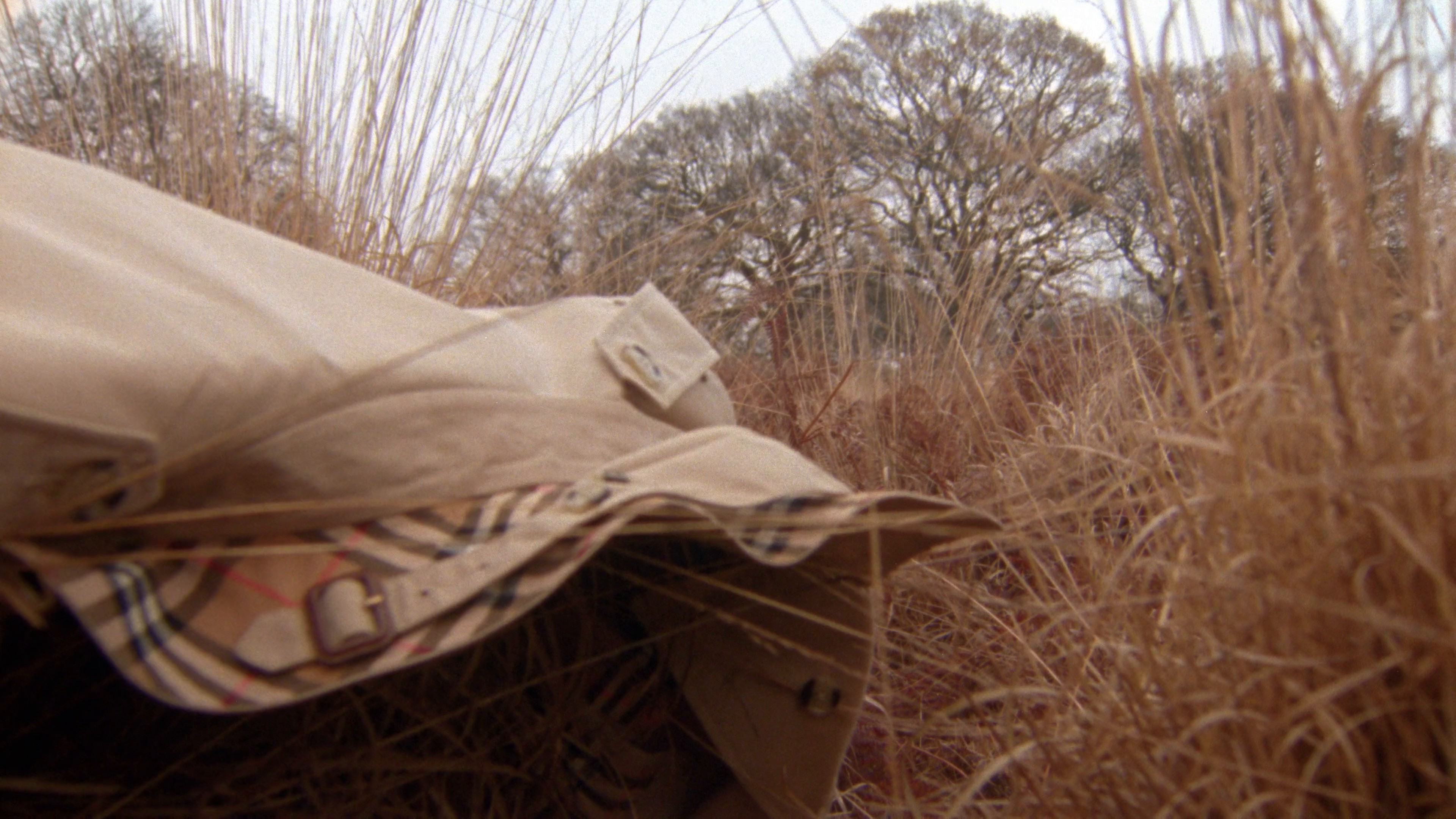 BURBERRY I HARRODS Knight Blue 024 (2024) —  shot,  lighting