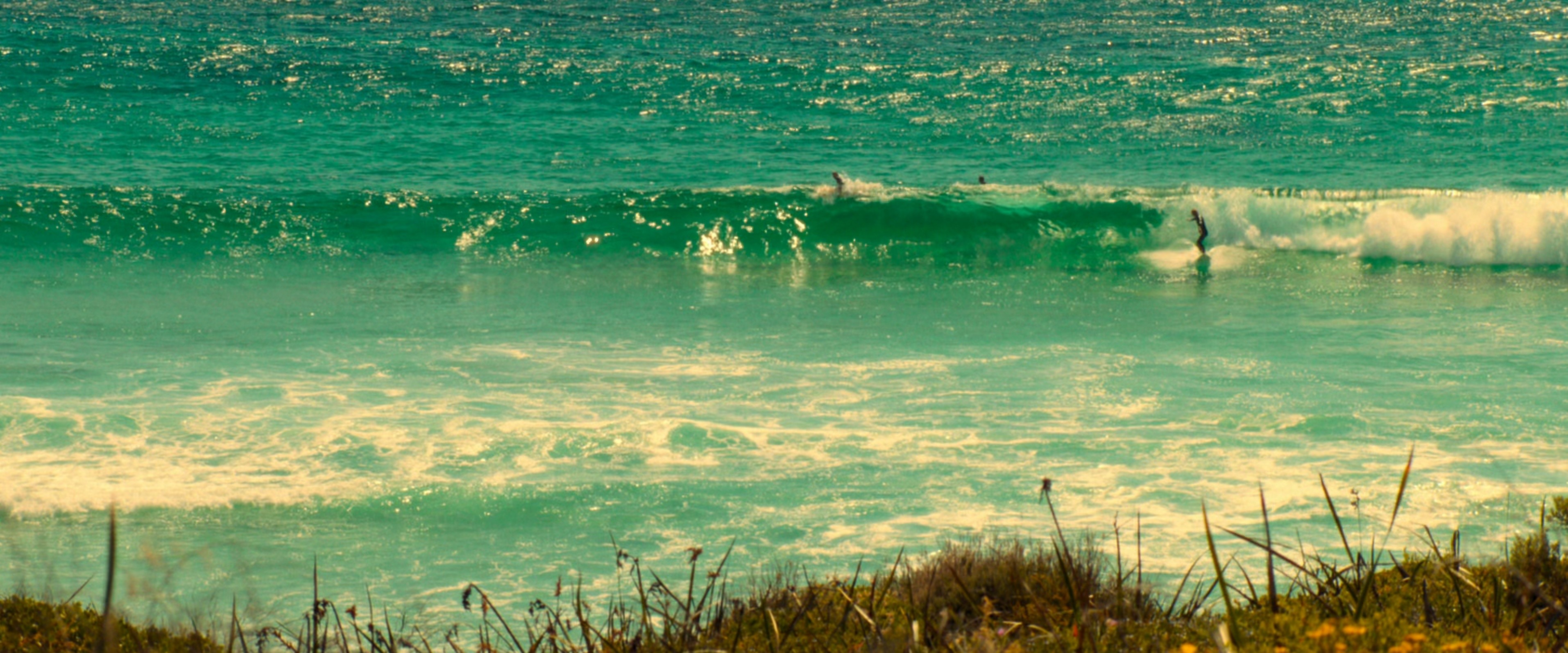 The Surfer (2025) —  shot,  lighting
