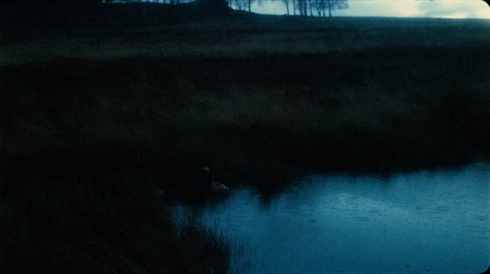 babytooth (2024) —  shot,  lighting