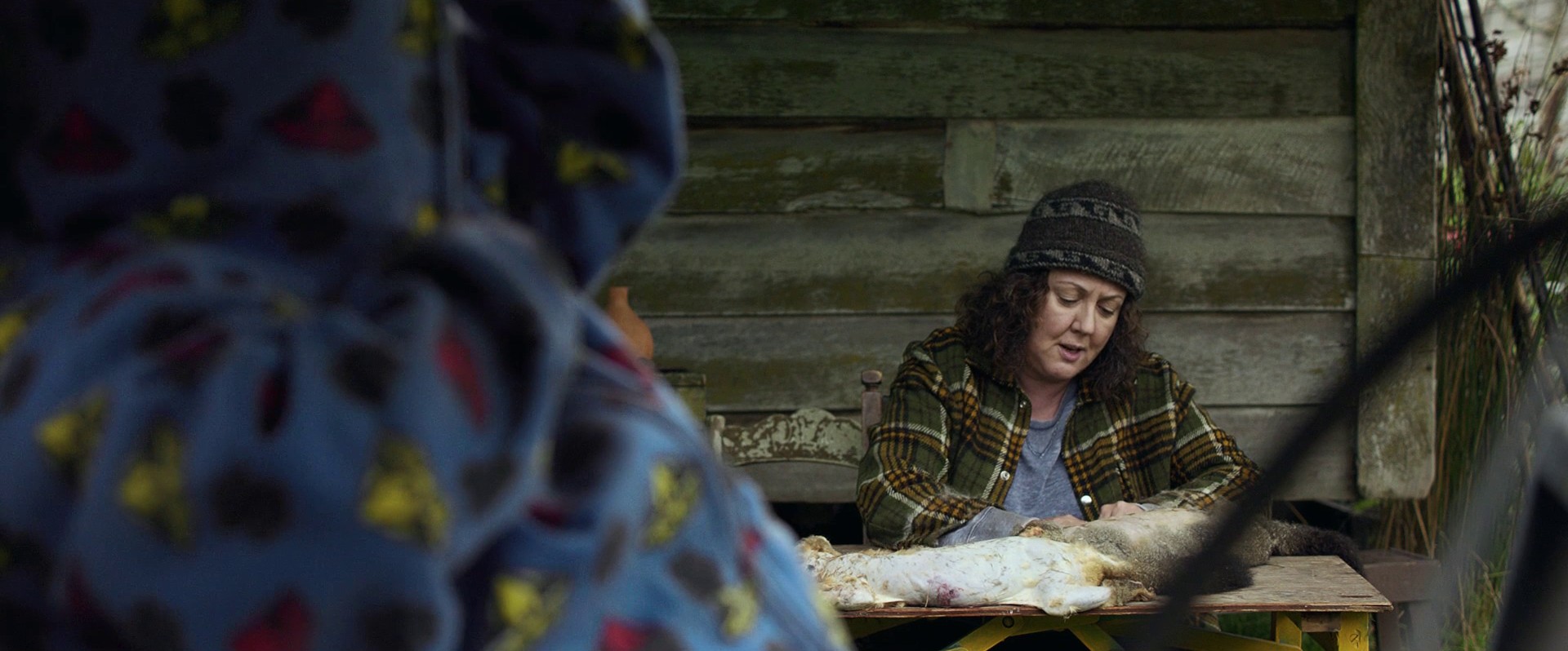 Hunt for the Wilderpeople (2016) —  shot,  lighting