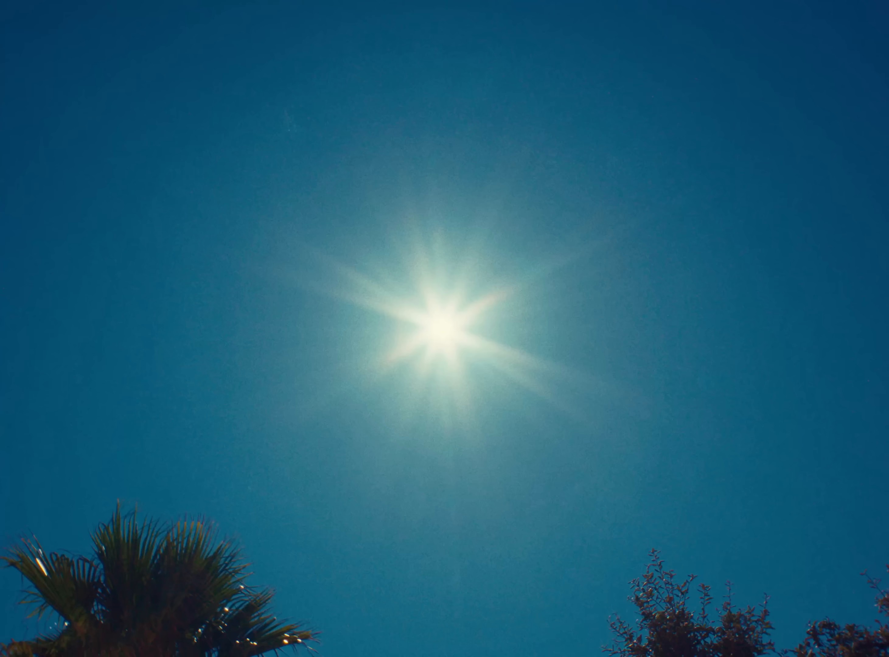 Basta Cazzate (2024) —  shot,  lighting