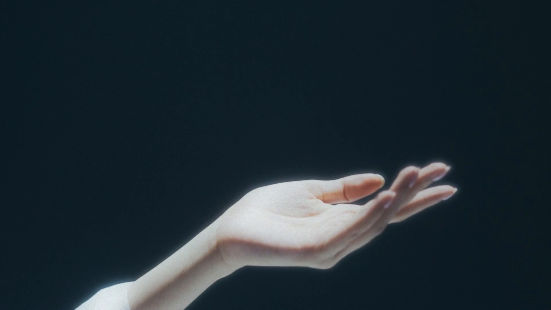 [DIR+DP] PANPURI | HEAVEN MOON OSMANTHUS (2024) —  shot,  lighting