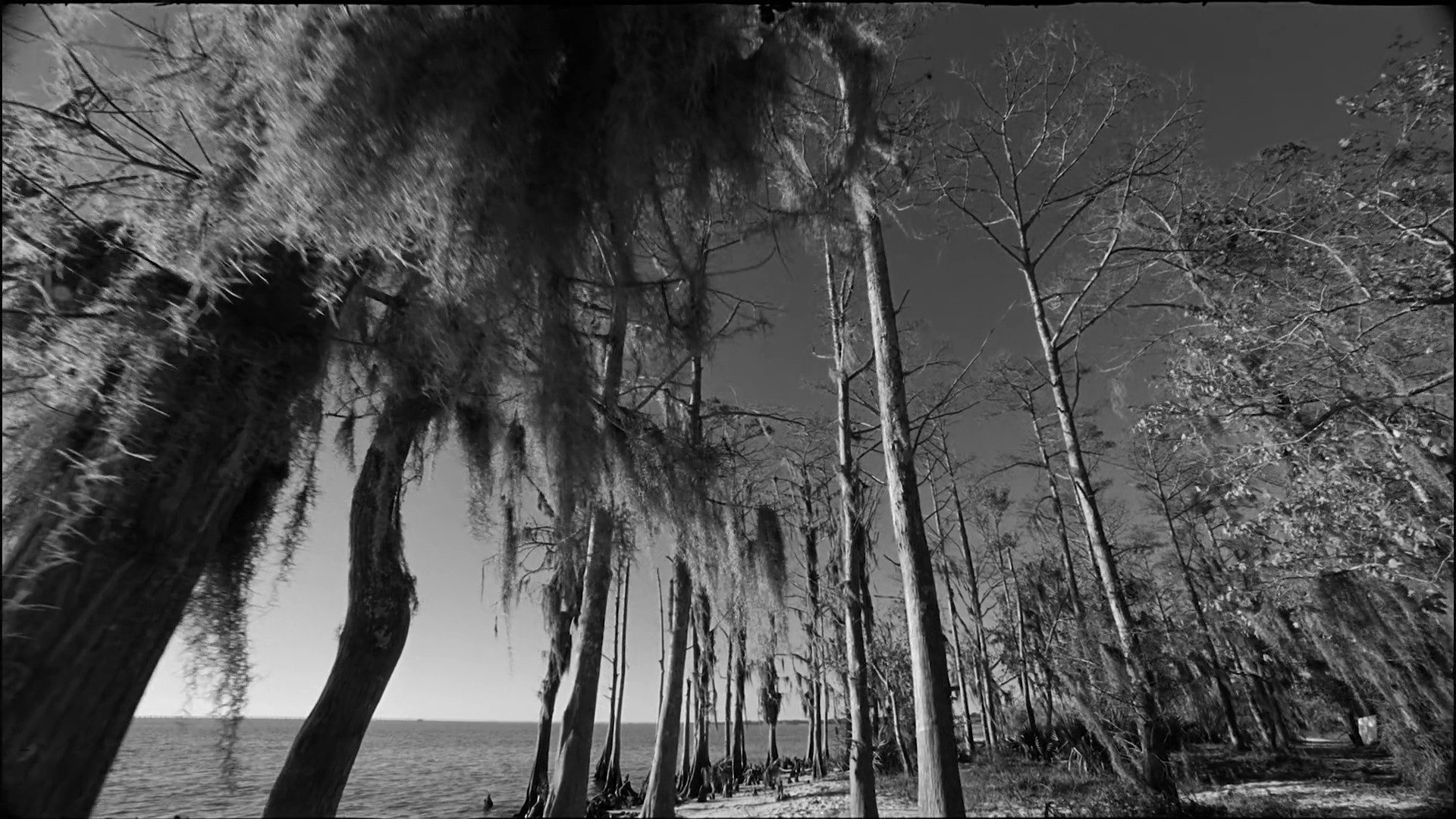 Sandcastles (2017) —  shot,  lighting