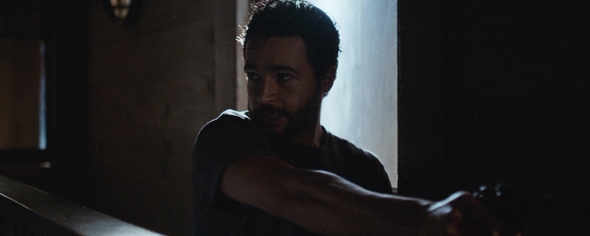 It Comes at Night (2017) —  shot,  lighting