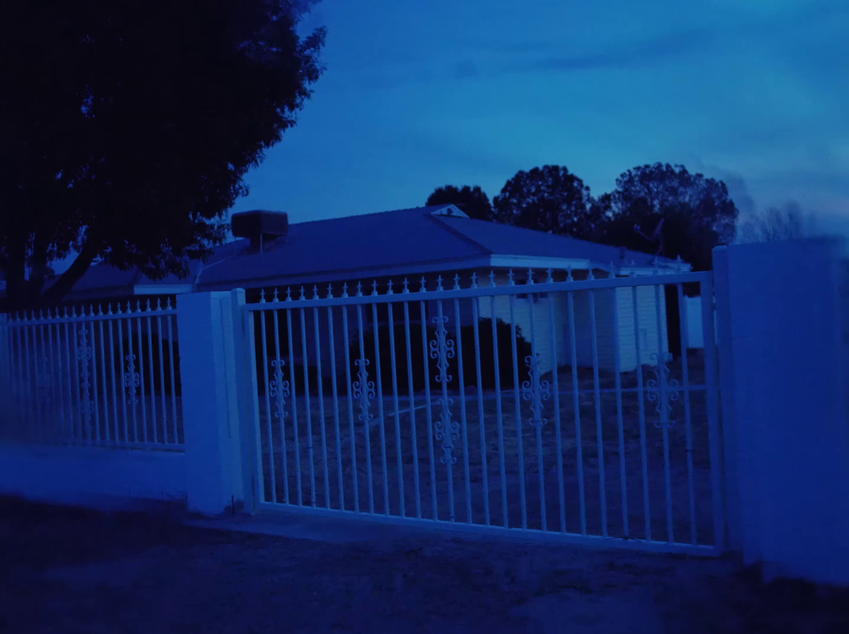 Mama's boy (2023) —  shot,  lighting