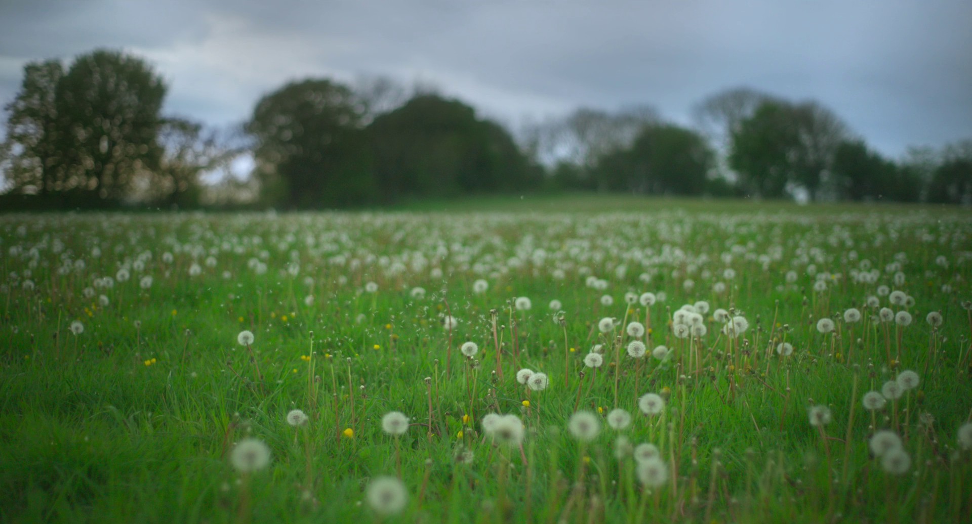 Men (2022) —  shot,  lighting