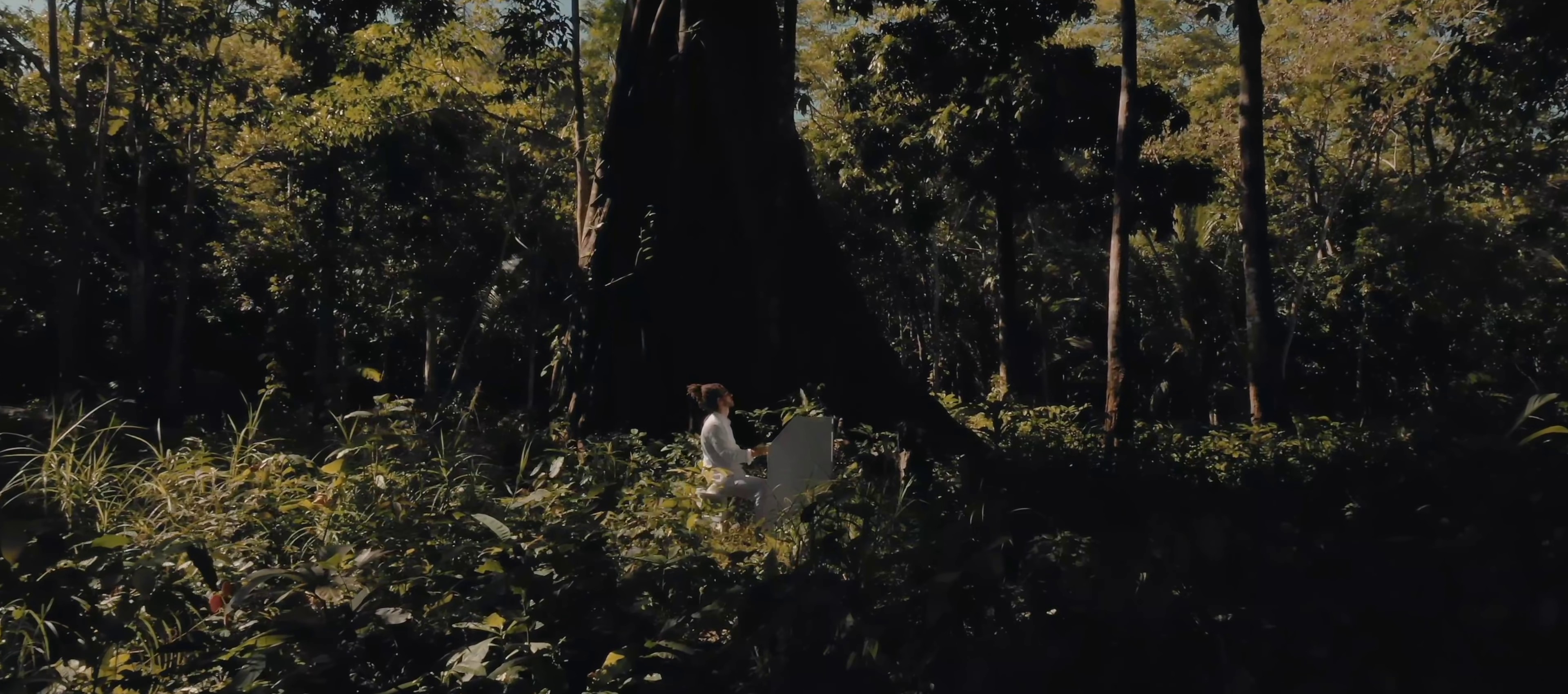 Ylang Ylang (2019) —  shot,  lighting