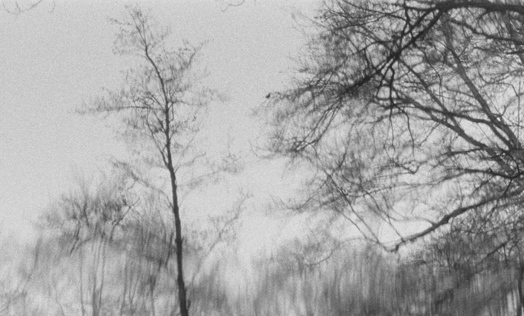 Wings of Desire (1993) —  shot,  lighting