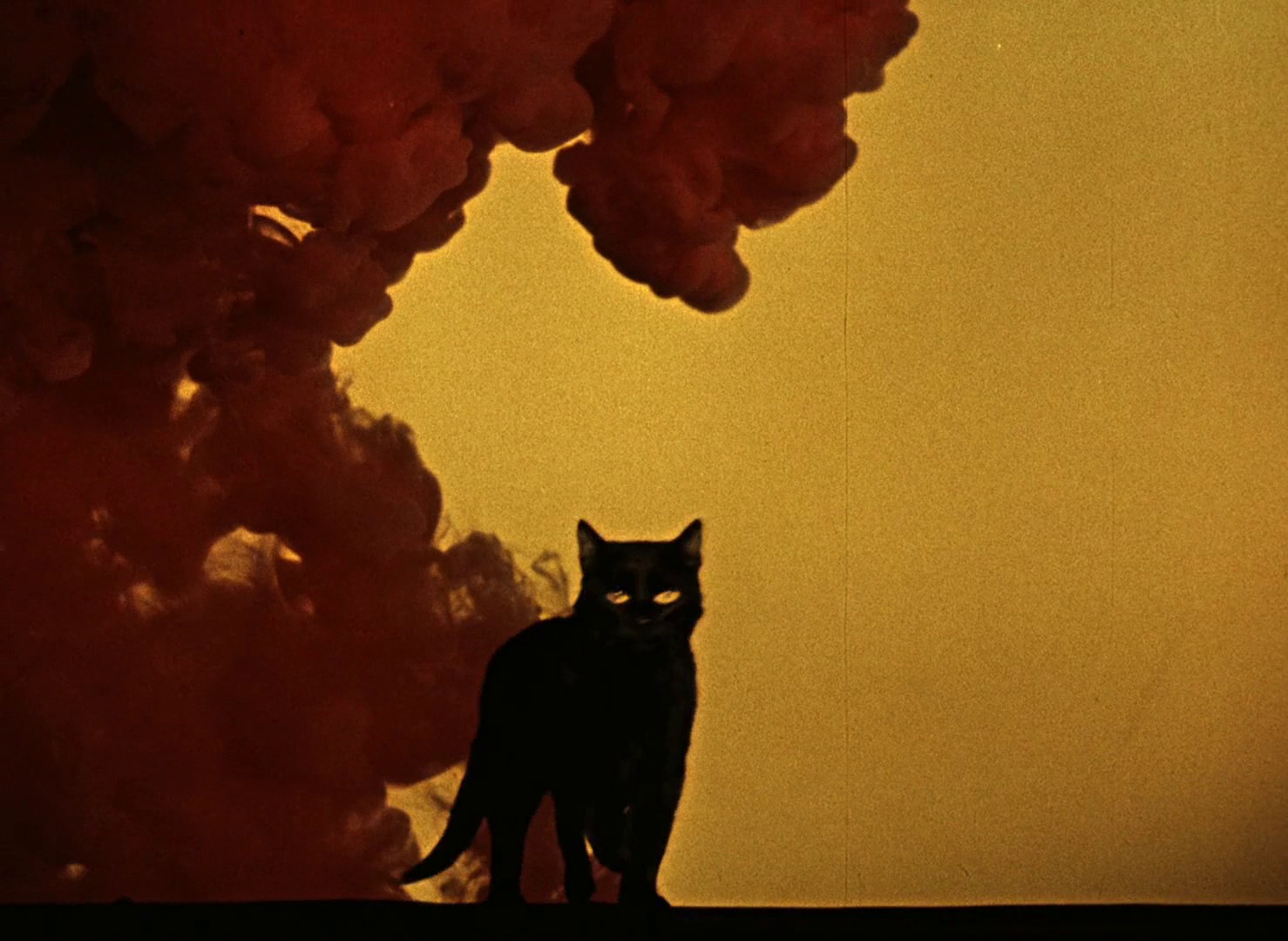 The Fabulous Baron Munchausen (1962) —  shot,  lighting