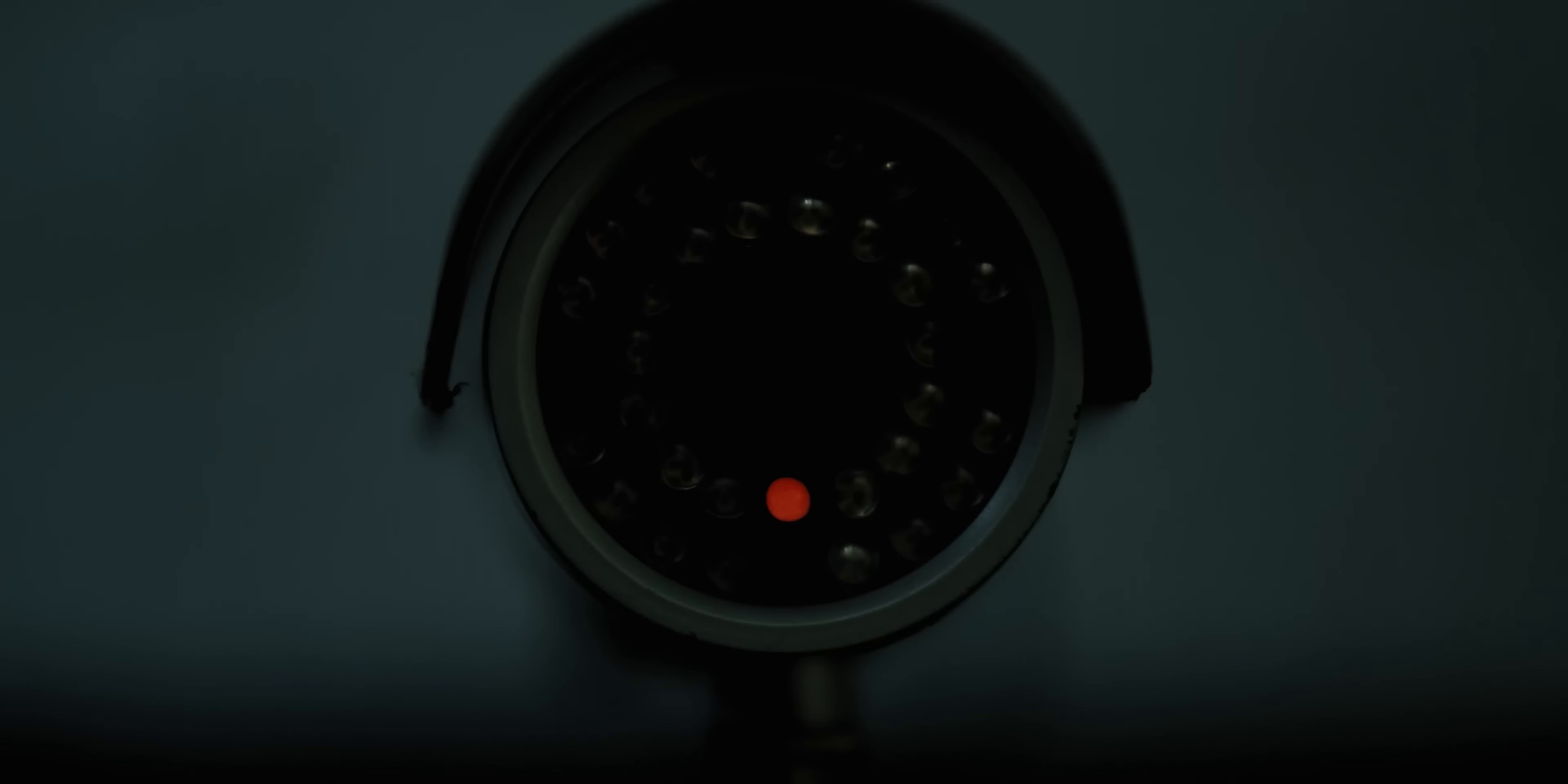 Showbiz (2024) —  shot,  lighting