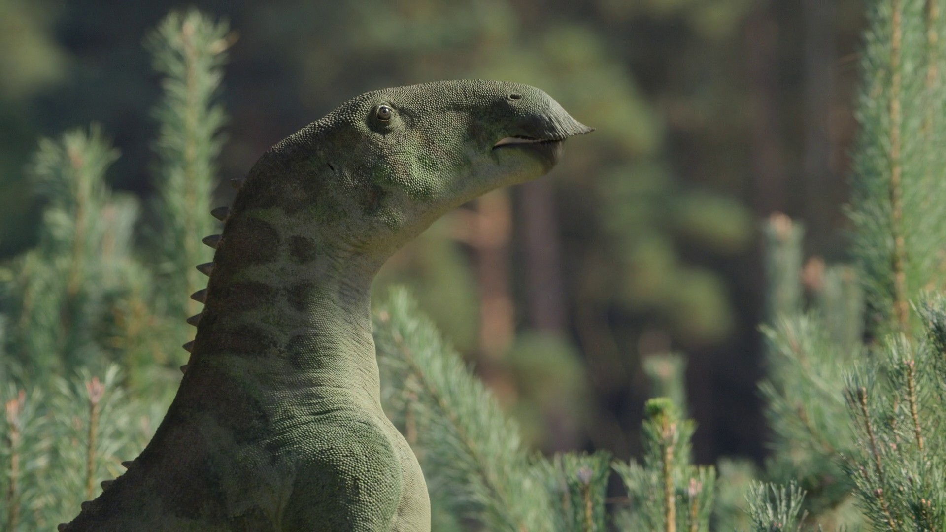 Islands (2023) —  shot,  lighting