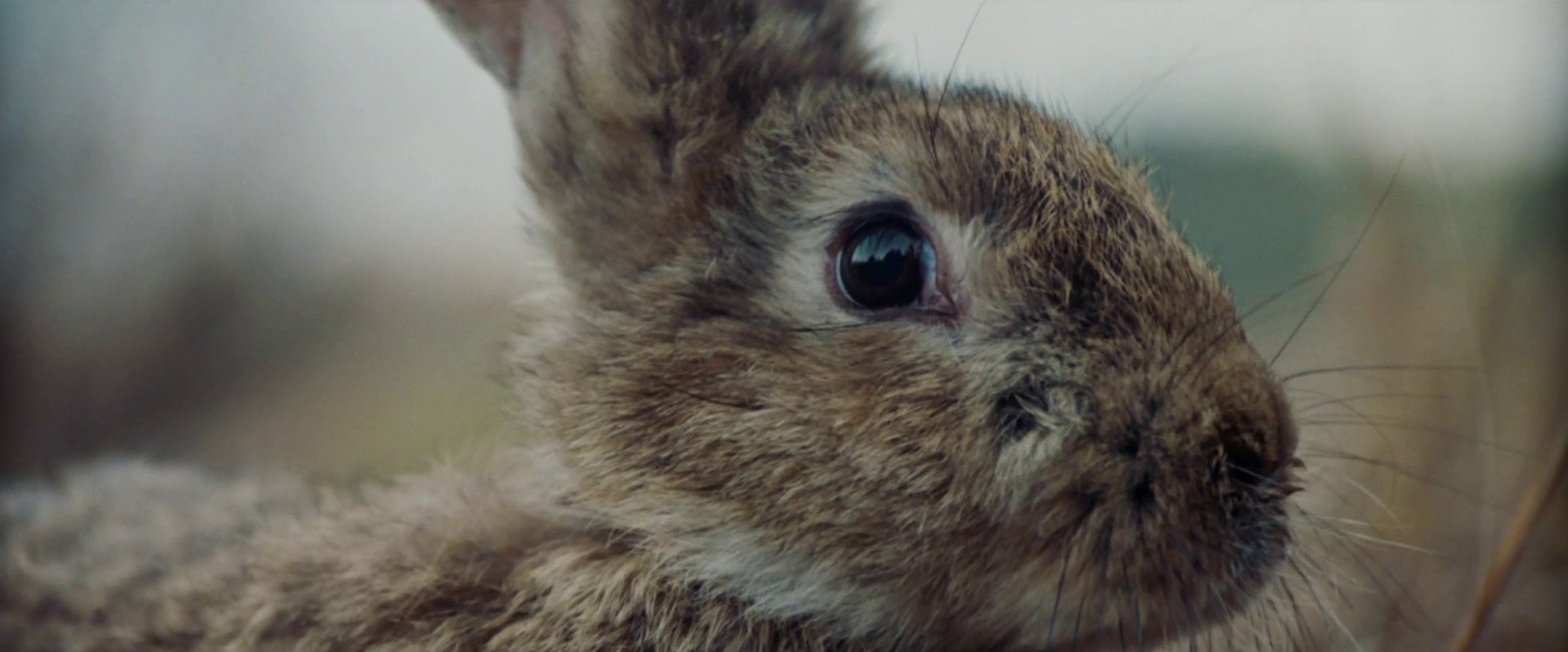 What a day (2021) —  shot,  lighting