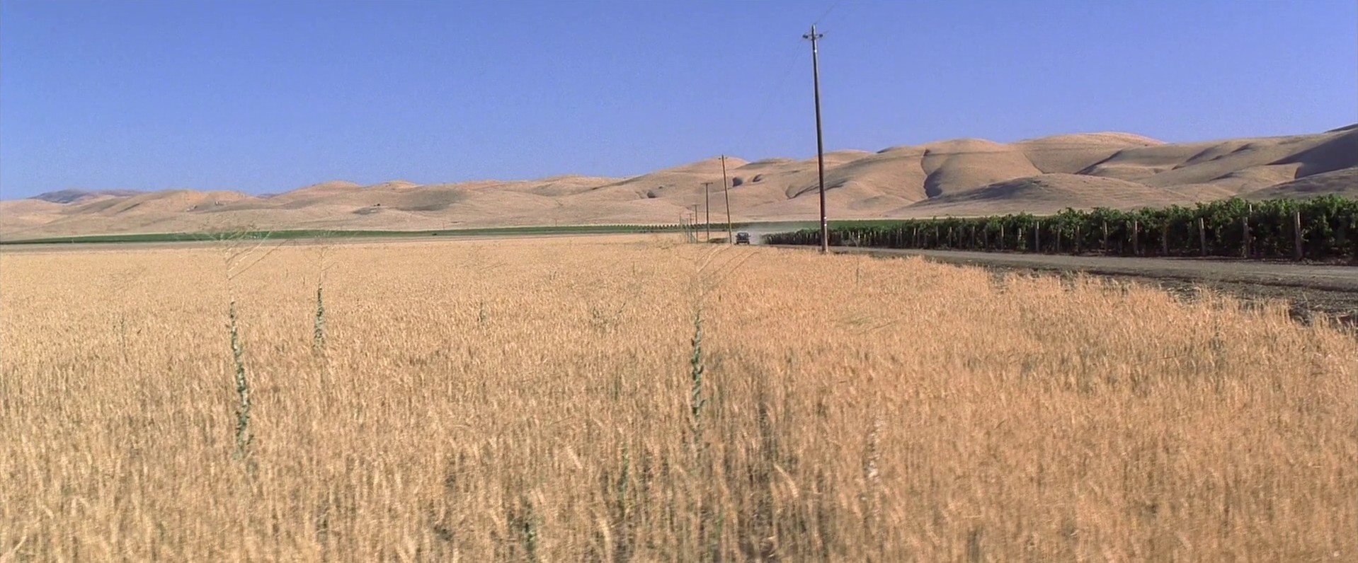 The Cell (2000) —  shot,  lighting