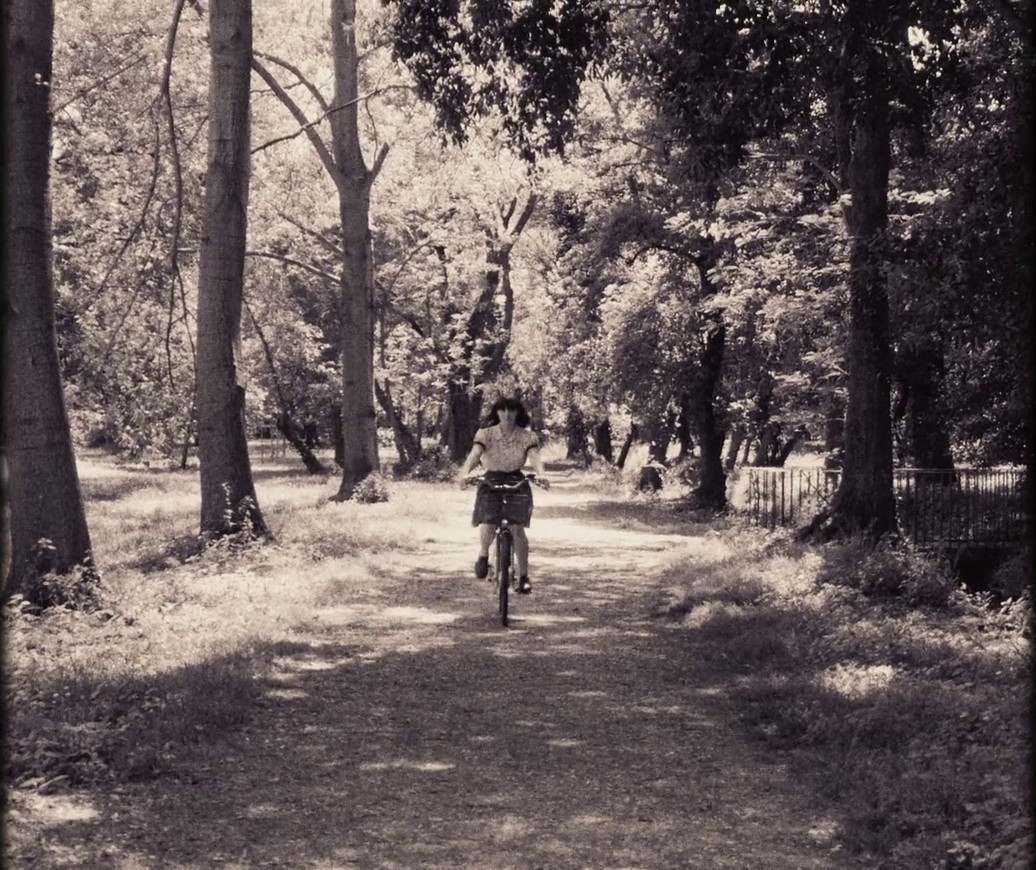 Falene e Farfalle (2024) —  shot,  lighting