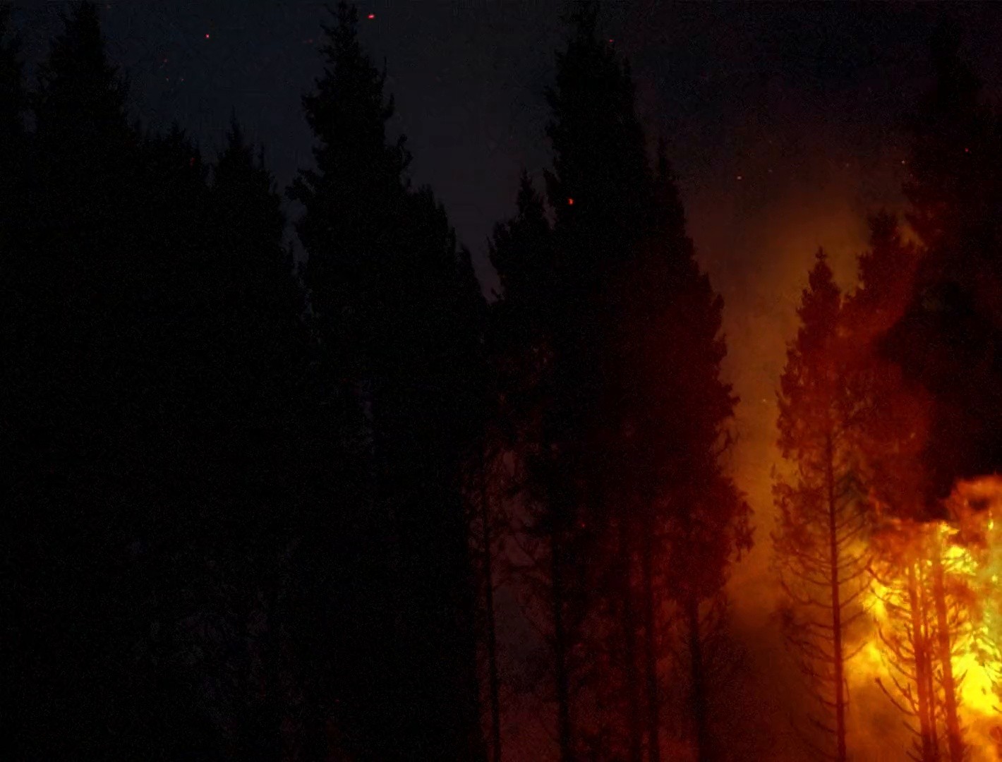 Sleep Has Her House (2017) —  shot,  lighting