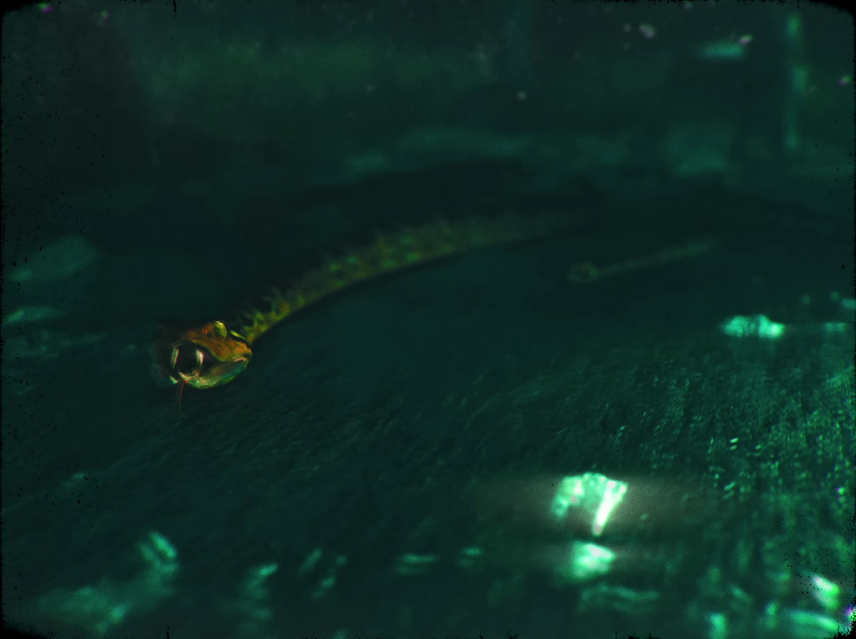 2000's Baby (2023) —  shot,  lighting