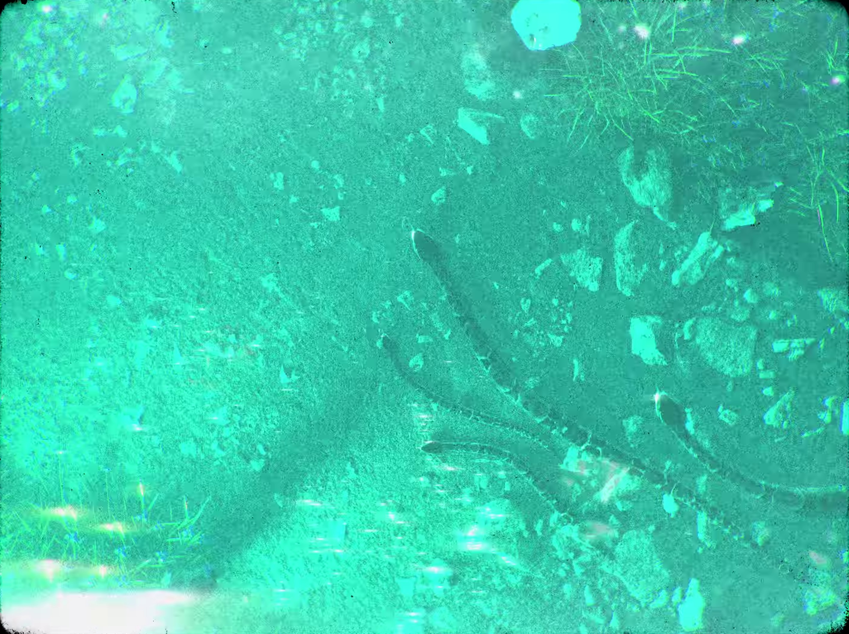 2000's Baby (2023) —  shot,  lighting