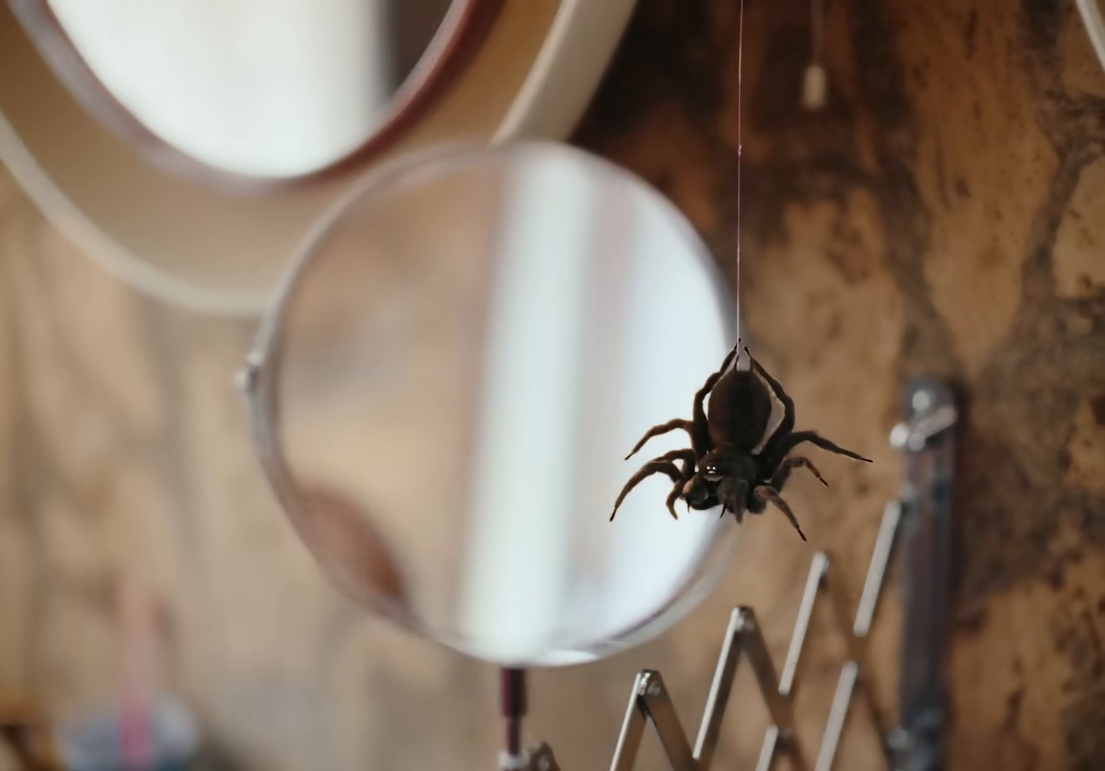 Crush (2025) —  shot,  lighting