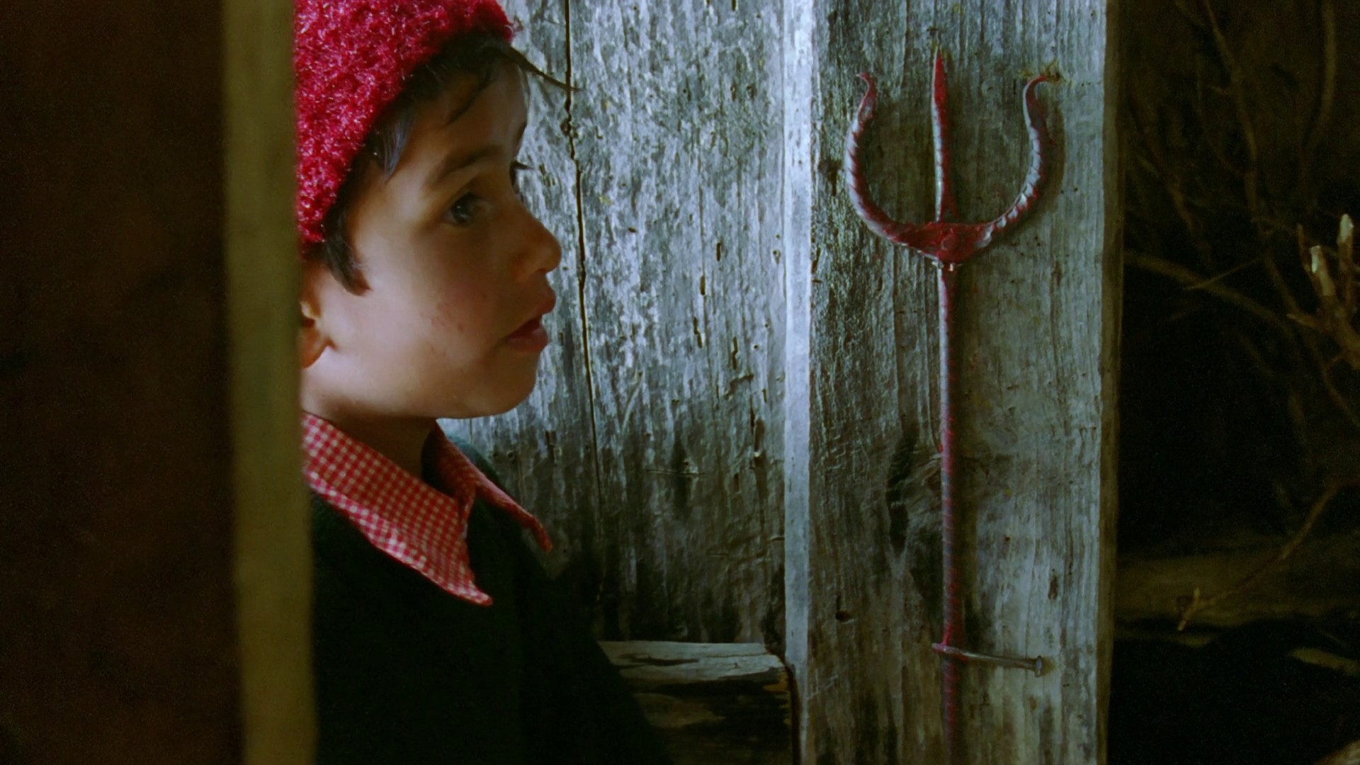 Kaphal: Wild Berries (2013) —  shot,  lighting