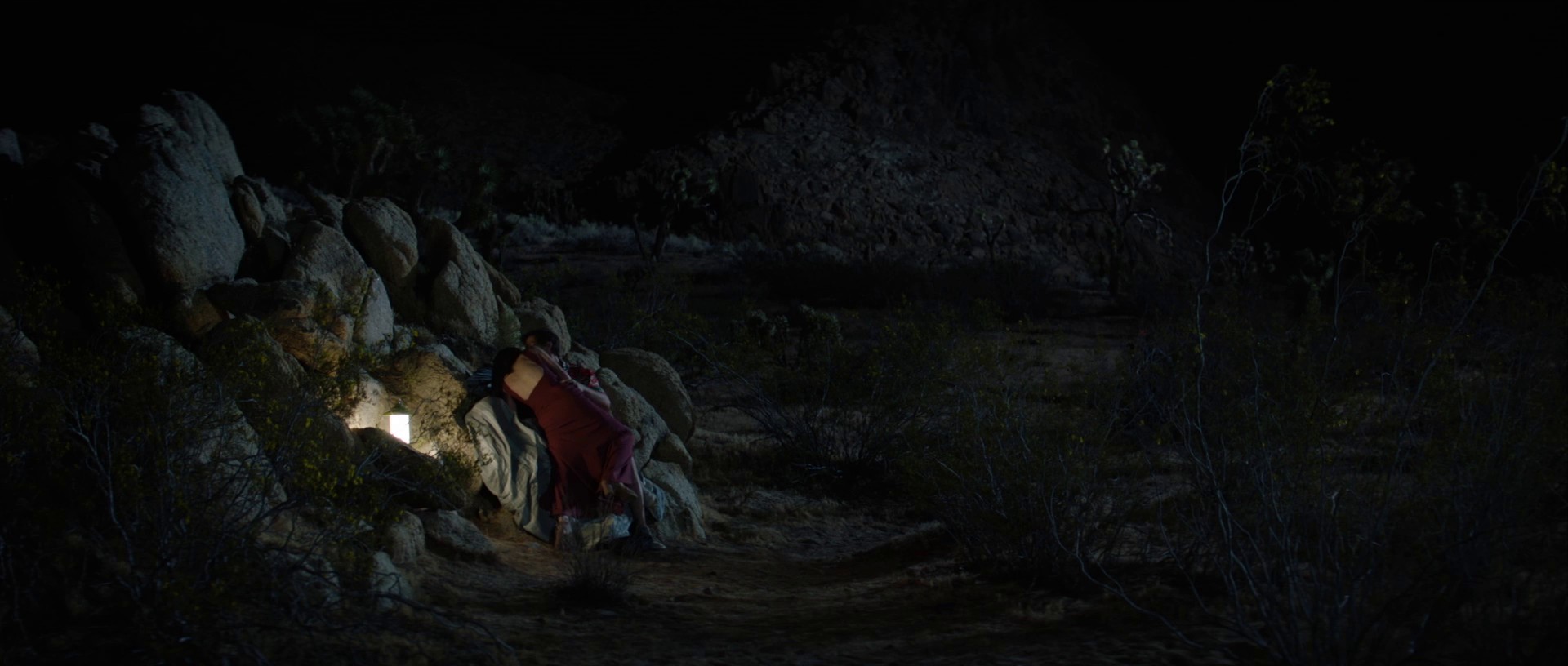 Palm Springs (2020) —  shot,  lighting