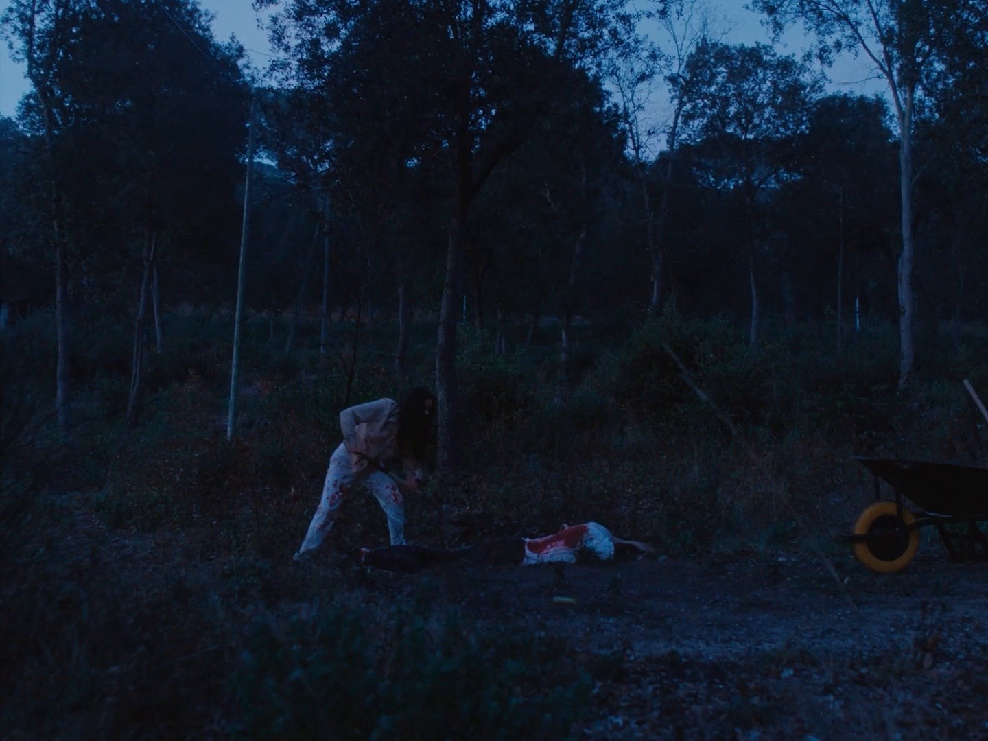 SIN ÉL  (2023) —  shot,  lighting