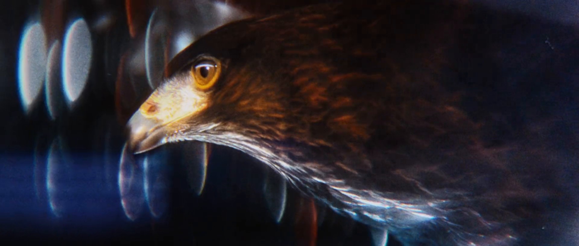 Nike 'Unleash Your Sixth Sense' (2019) —  shot,  lighting