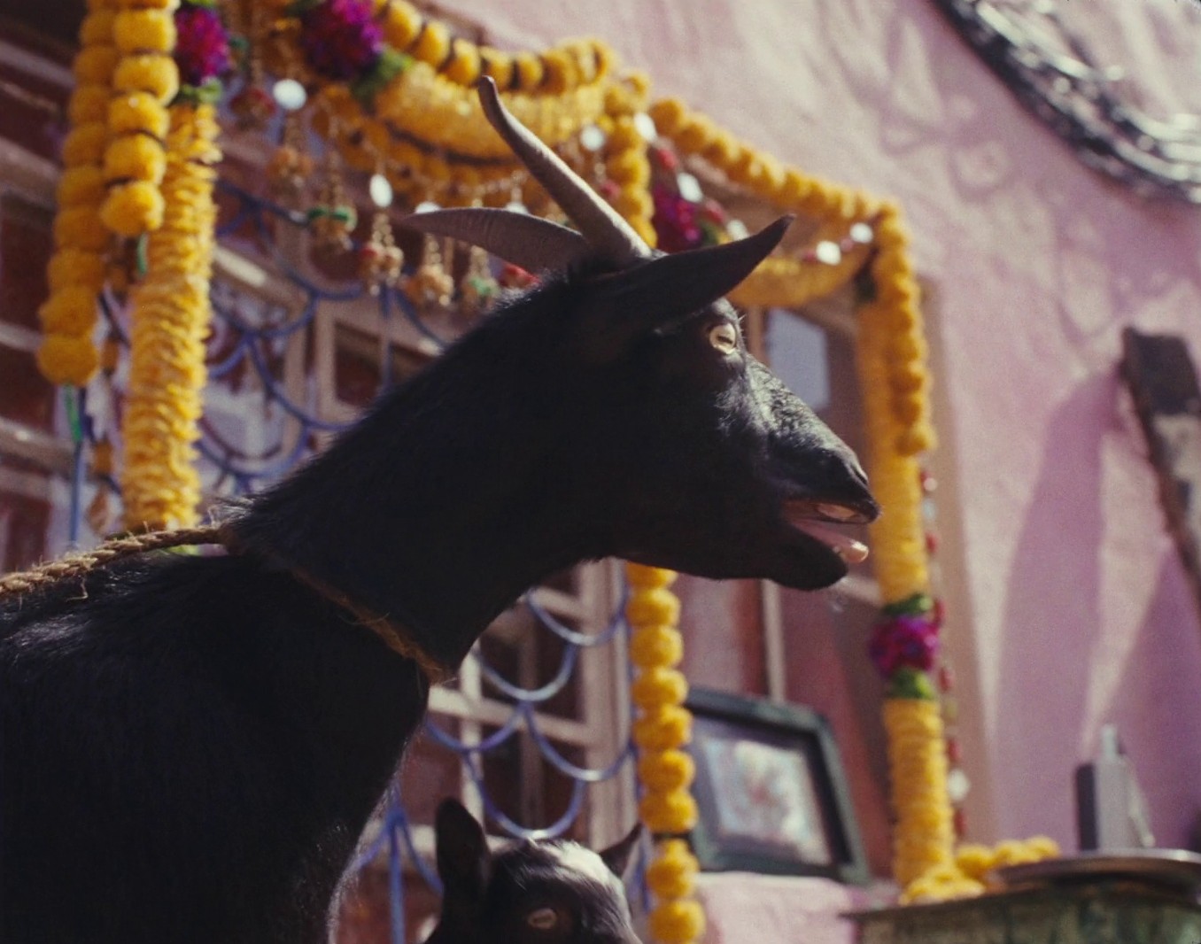 World Vision "Burps" Anthem (DC) (2024) —  shot,  lighting