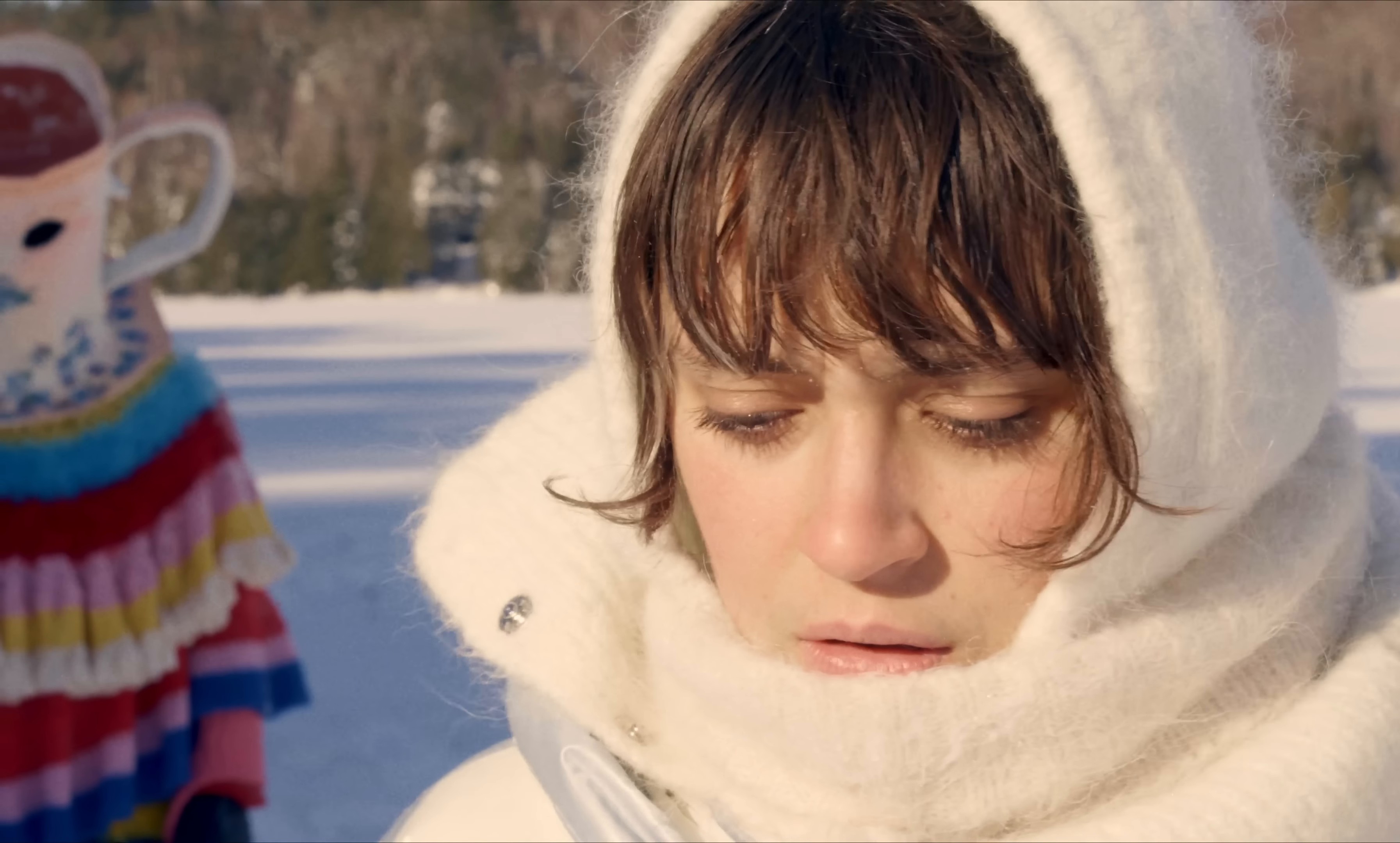 saisons, le film: hiver (2024) —  shot,  lighting