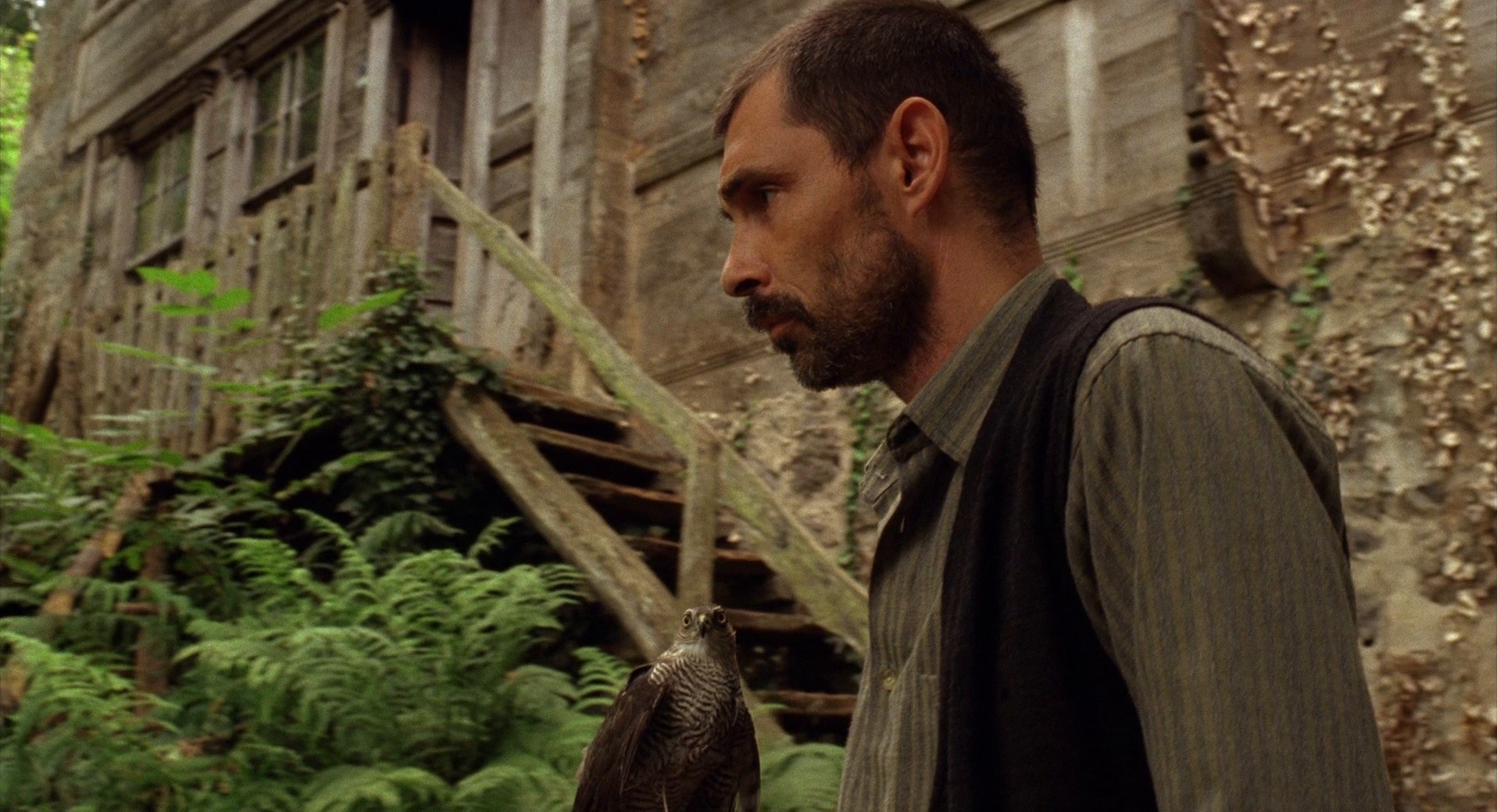 Honey (2010) —  shot,  lighting