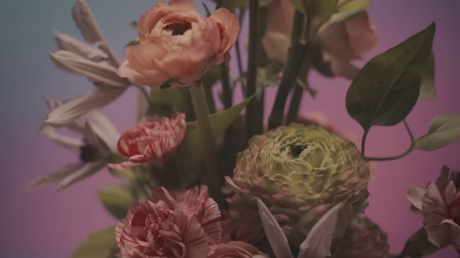 De couleurs vives  (2022) —  shot,  lighting