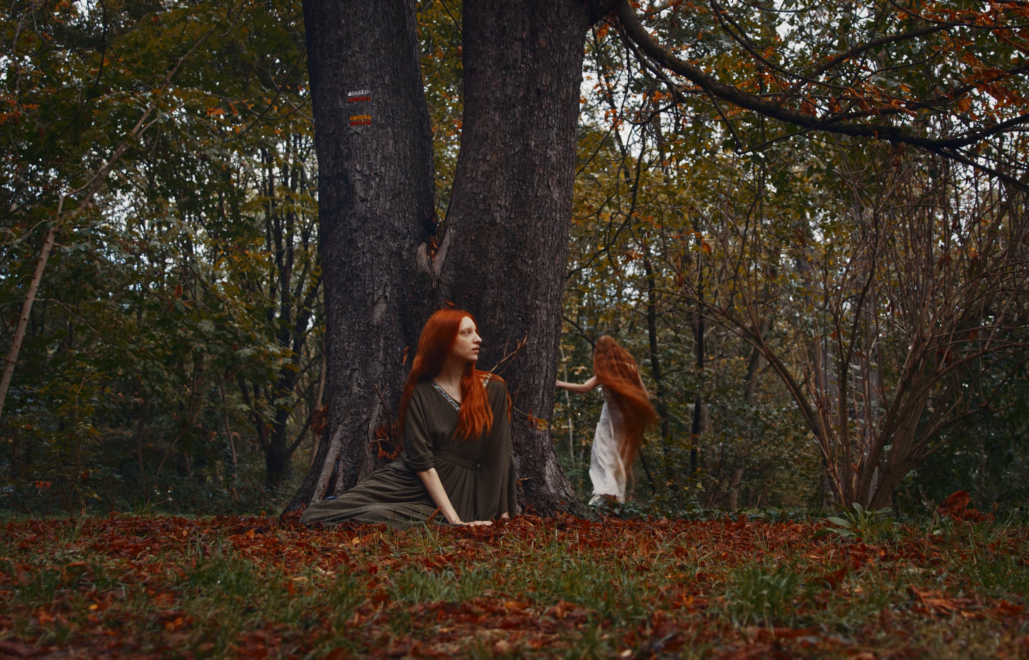 Arroyo Dorado (2024) —  shot,  lighting