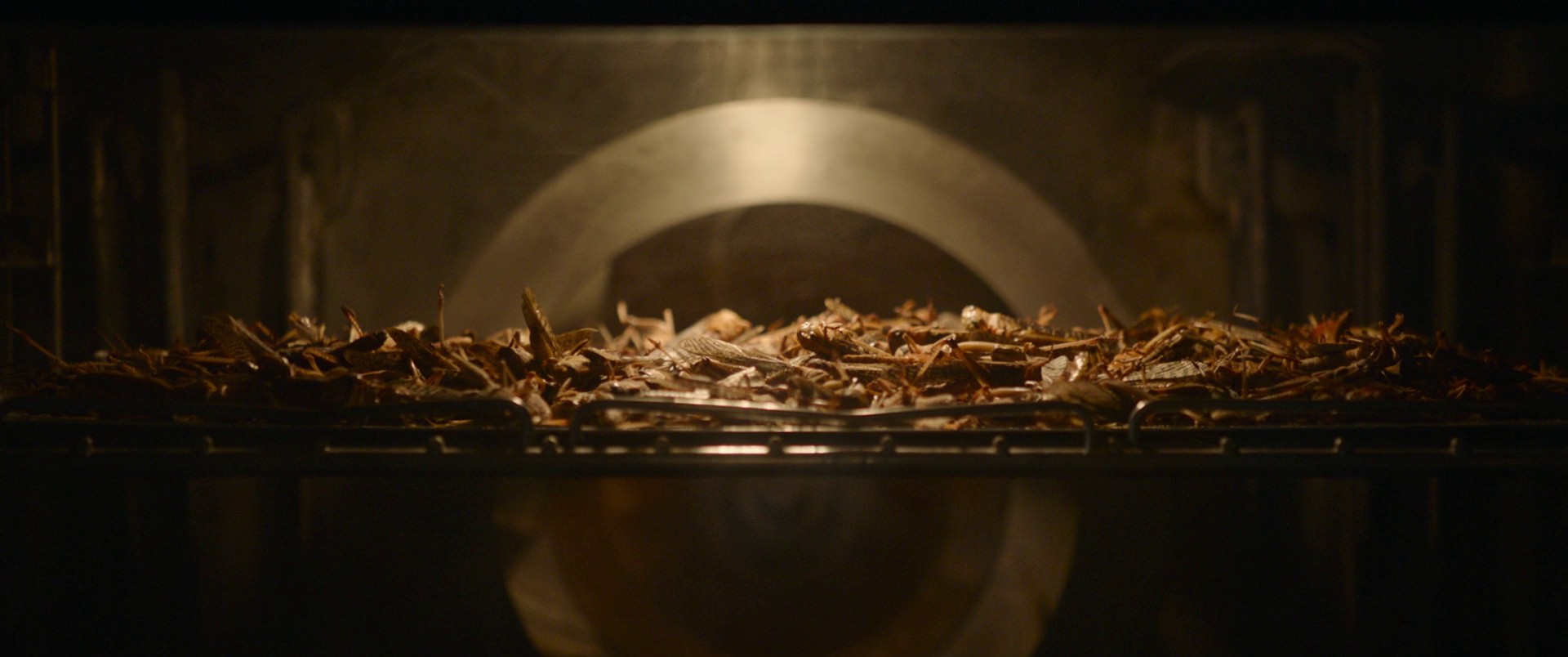 The Swarm (2021) —  shot,  lighting