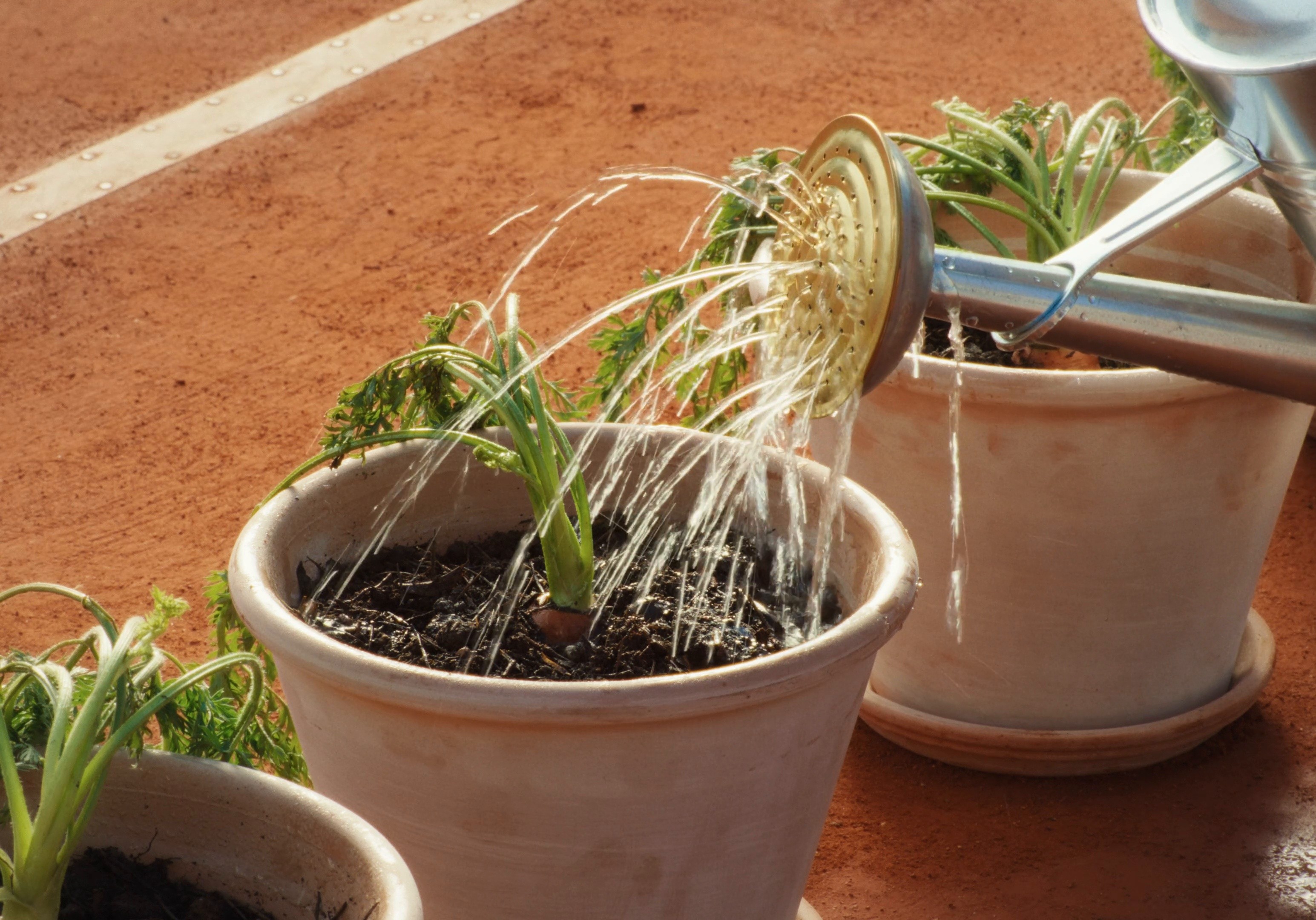 Jannik Sinner - From The Slopes To The Centre Court (2025) —  shot,  lighting