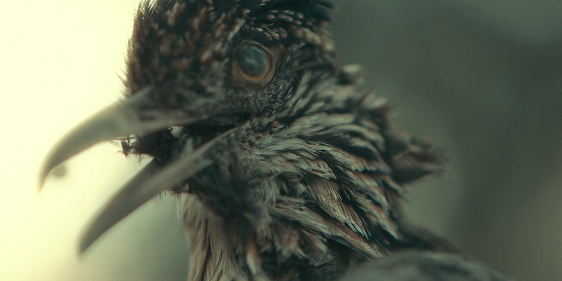 Bus Stop (2021) —  shot,  lighting