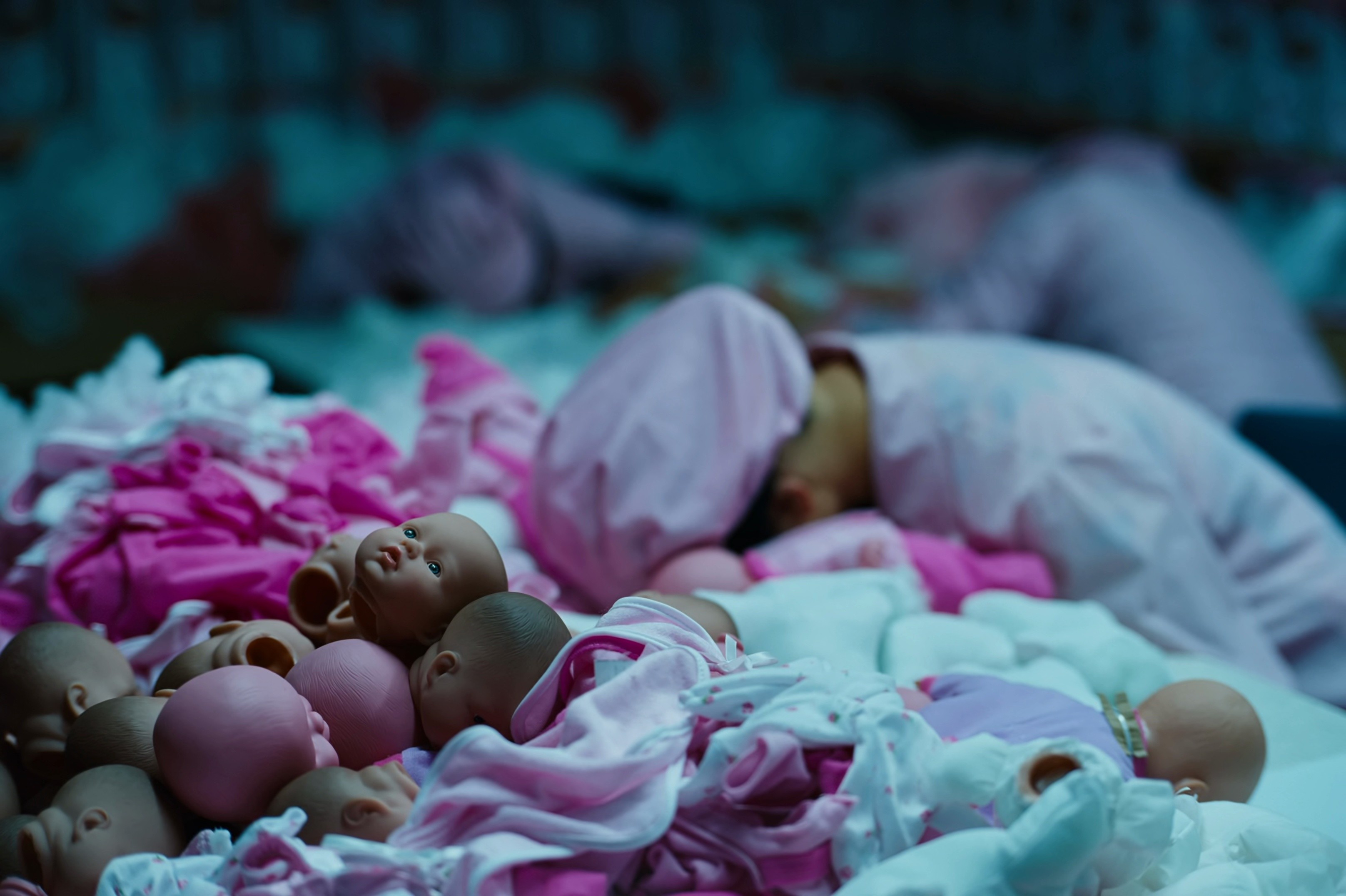 Bugonia (2025) —  shot,  lighting