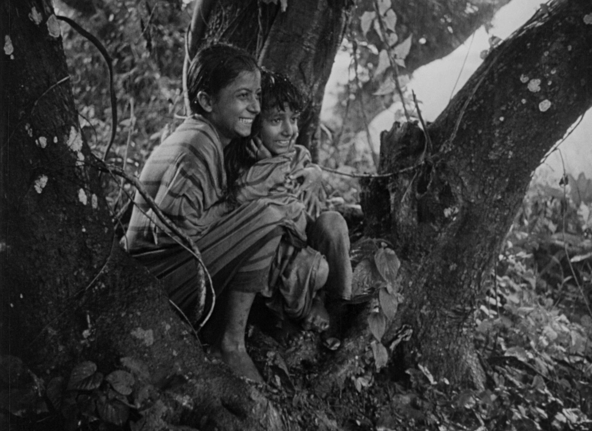 Pather Panchali (1955) —  shot,  lighting