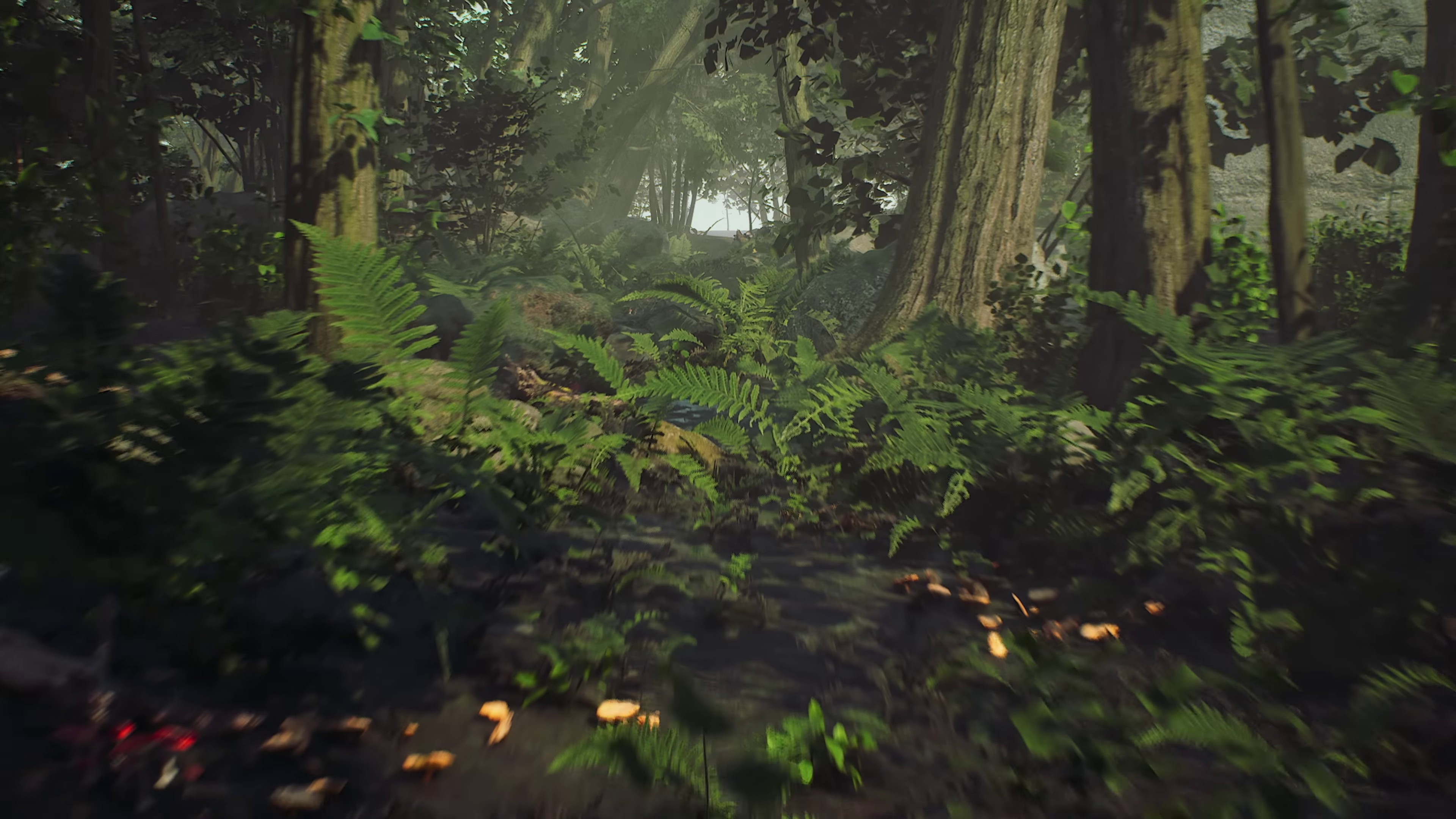 Will Anybody Ever Love Me? (2023) —  shot,  lighting